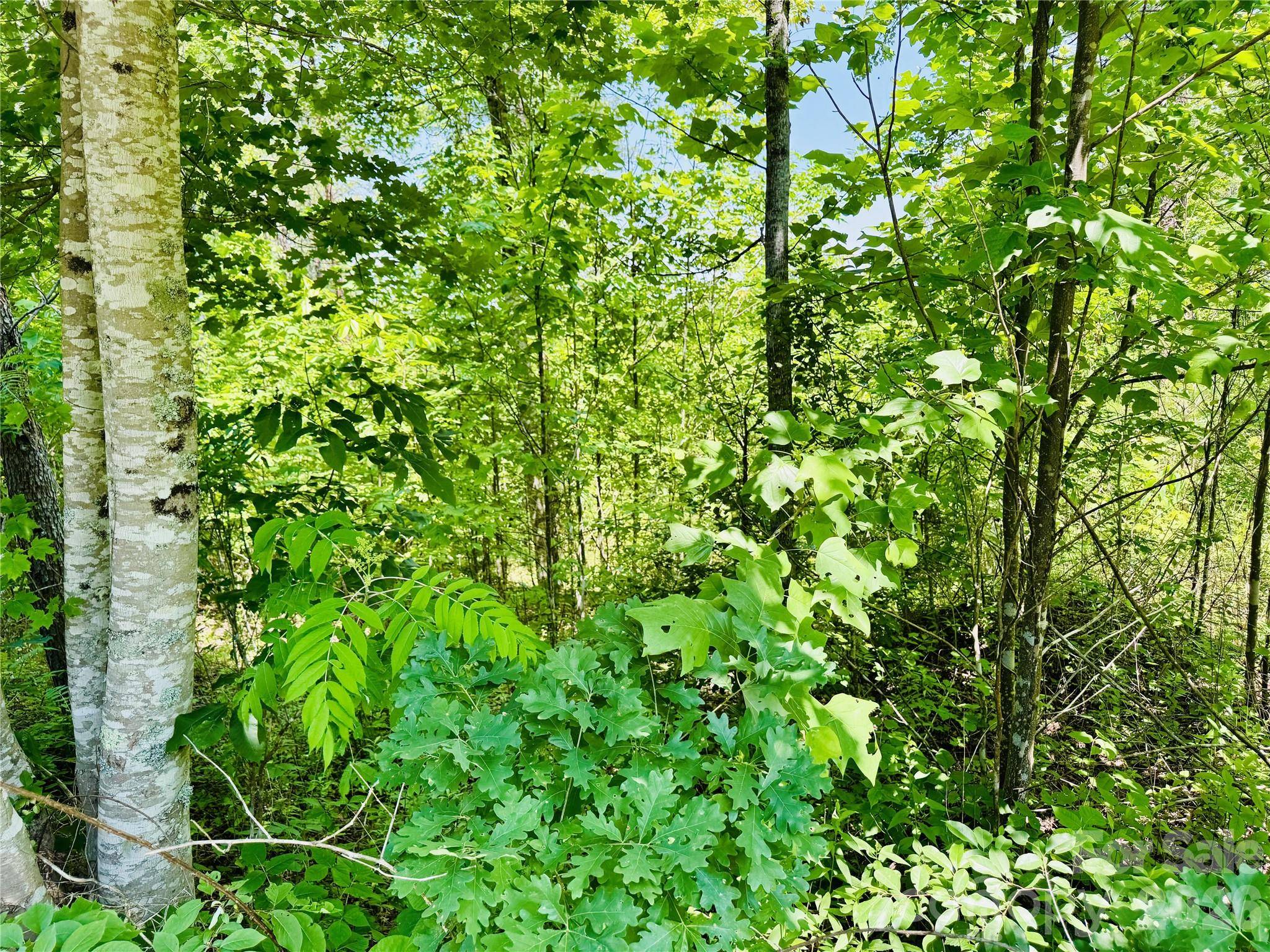 2.66 acres, Lot 903 High Valley WAY #903, Lenoir, NC 28645