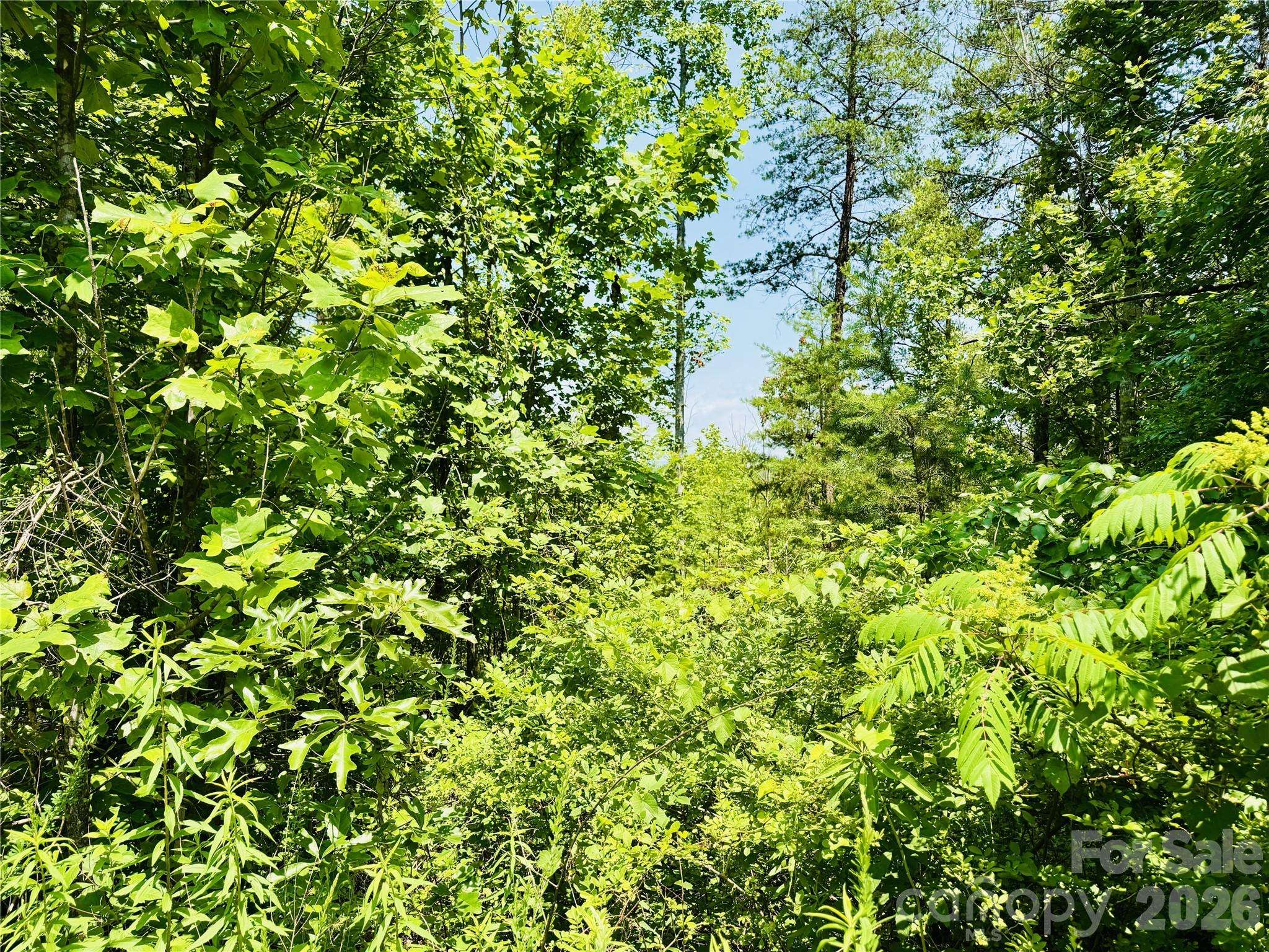 2.66 acres, Lot 903 High Valley WAY #903, Lenoir, NC 28645