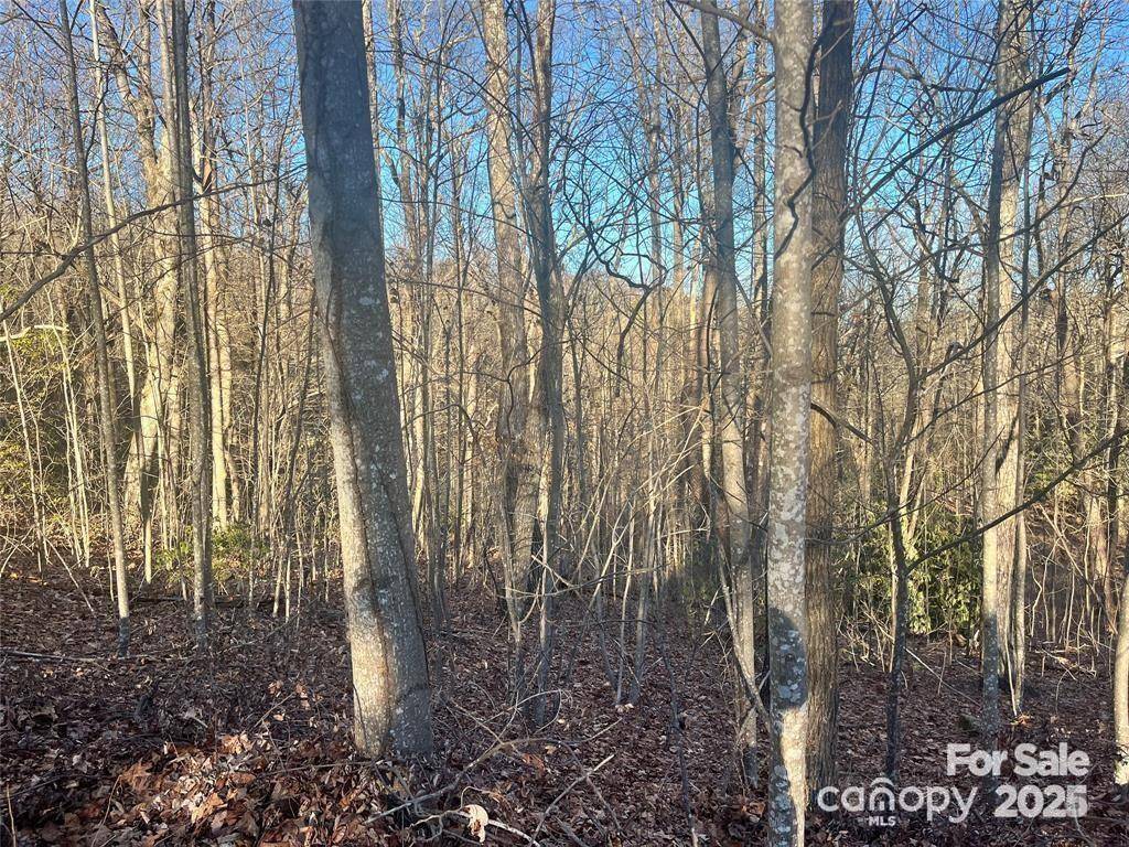 129 Pinnacle Peak LN, Flat Rock, NC 28731