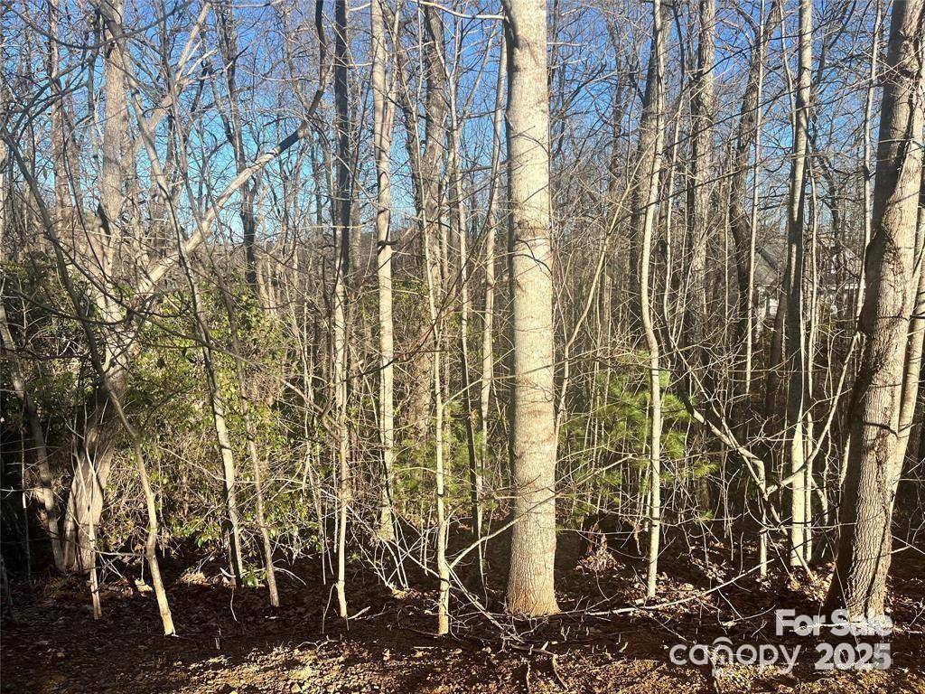 129 Pinnacle Peak LN, Flat Rock, NC 28731