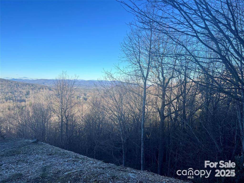000 Roxworth CT, Flat Rock, NC 28731