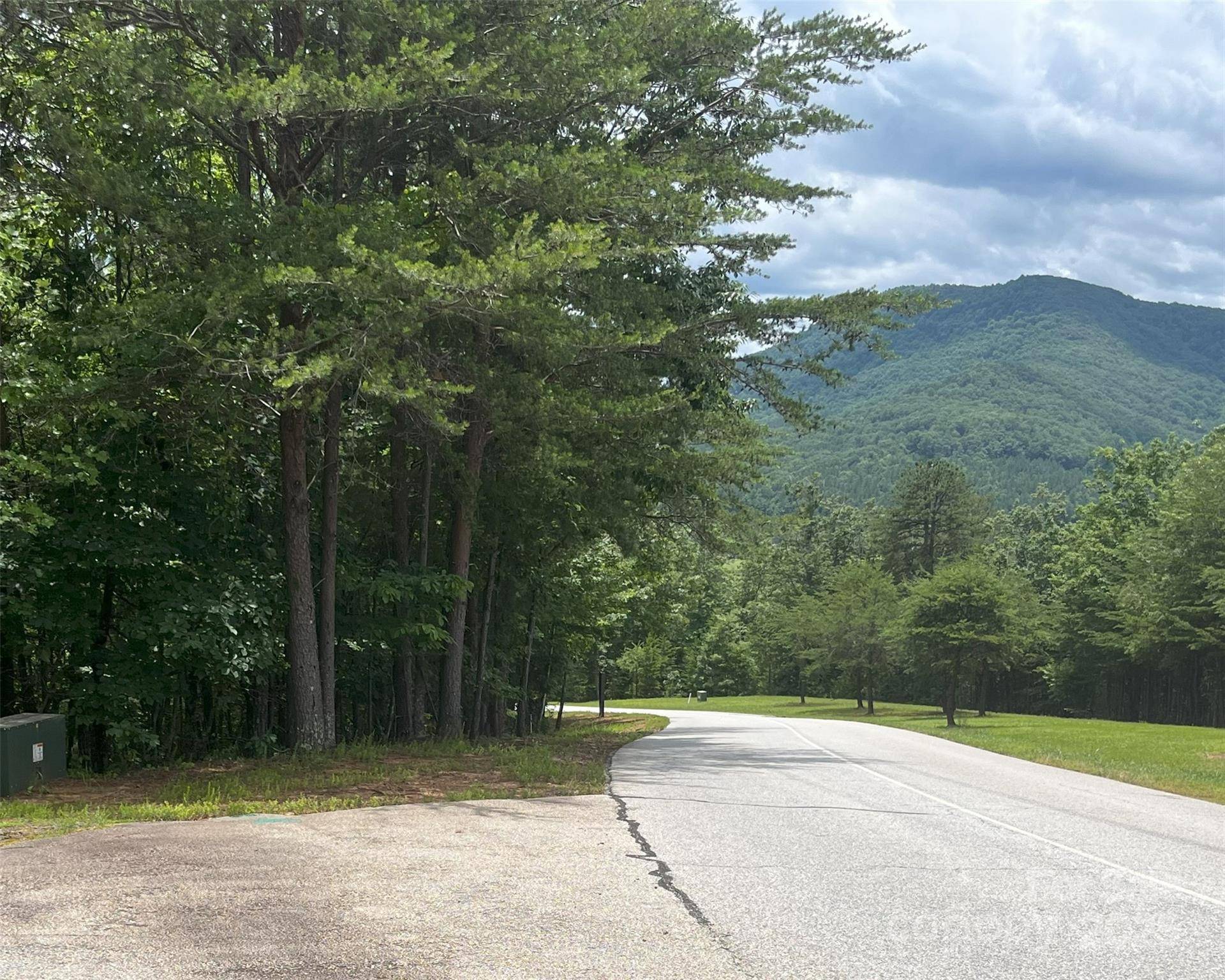 00 Deep Gap RD E #59, Mill Spring, NC 28756