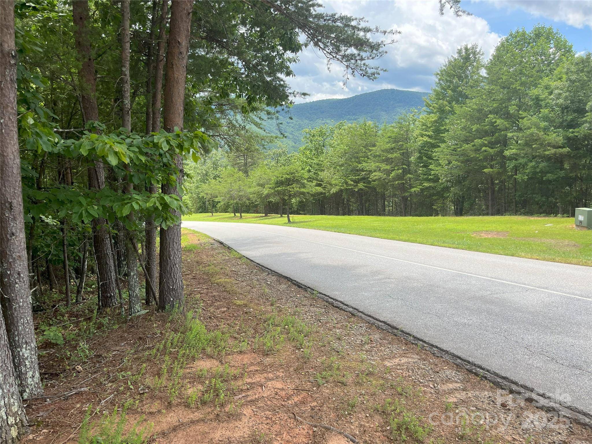 00 Deep Gap RD E #59, Mill Spring, NC 28756