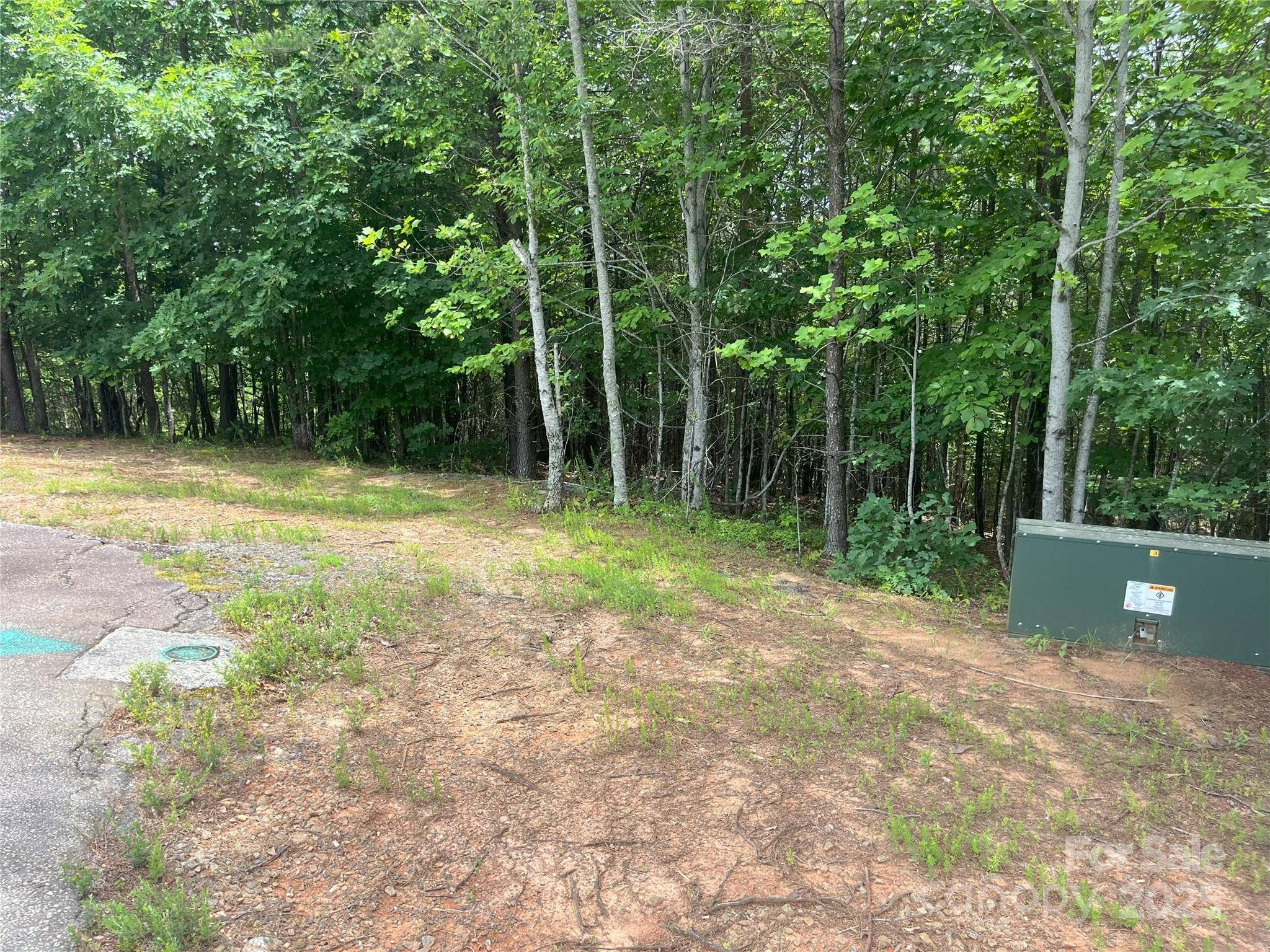 00 Deep Gap RD E #59, Mill Spring, NC 28756