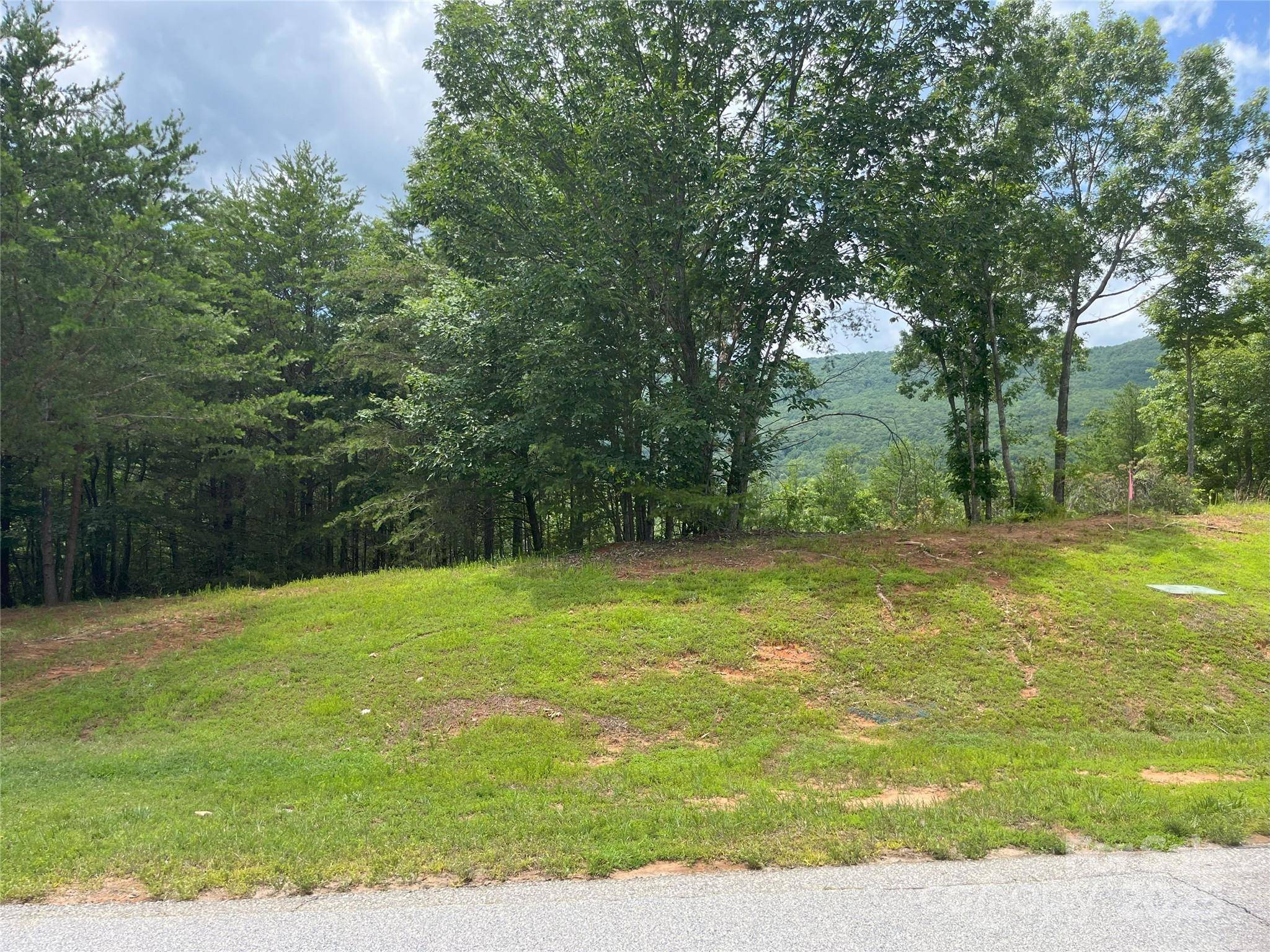00 Deep Gap RD E #59, Mill Spring, NC 28756