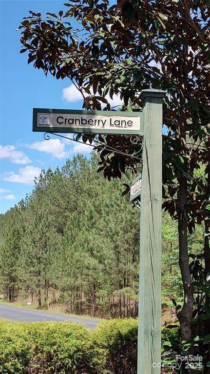 105 Cranberry LN #80, Mooresboro, NC 28114