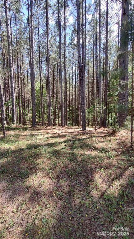 105 Cranberry LN #80, Mooresboro, NC 28114