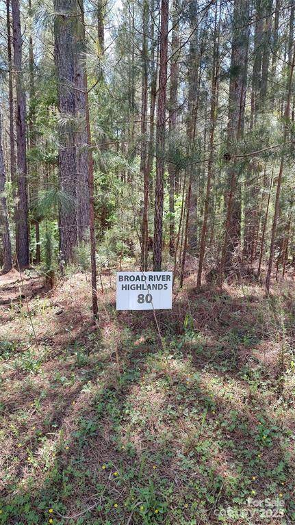 105 Cranberry LN #80, Mooresboro, NC 28114