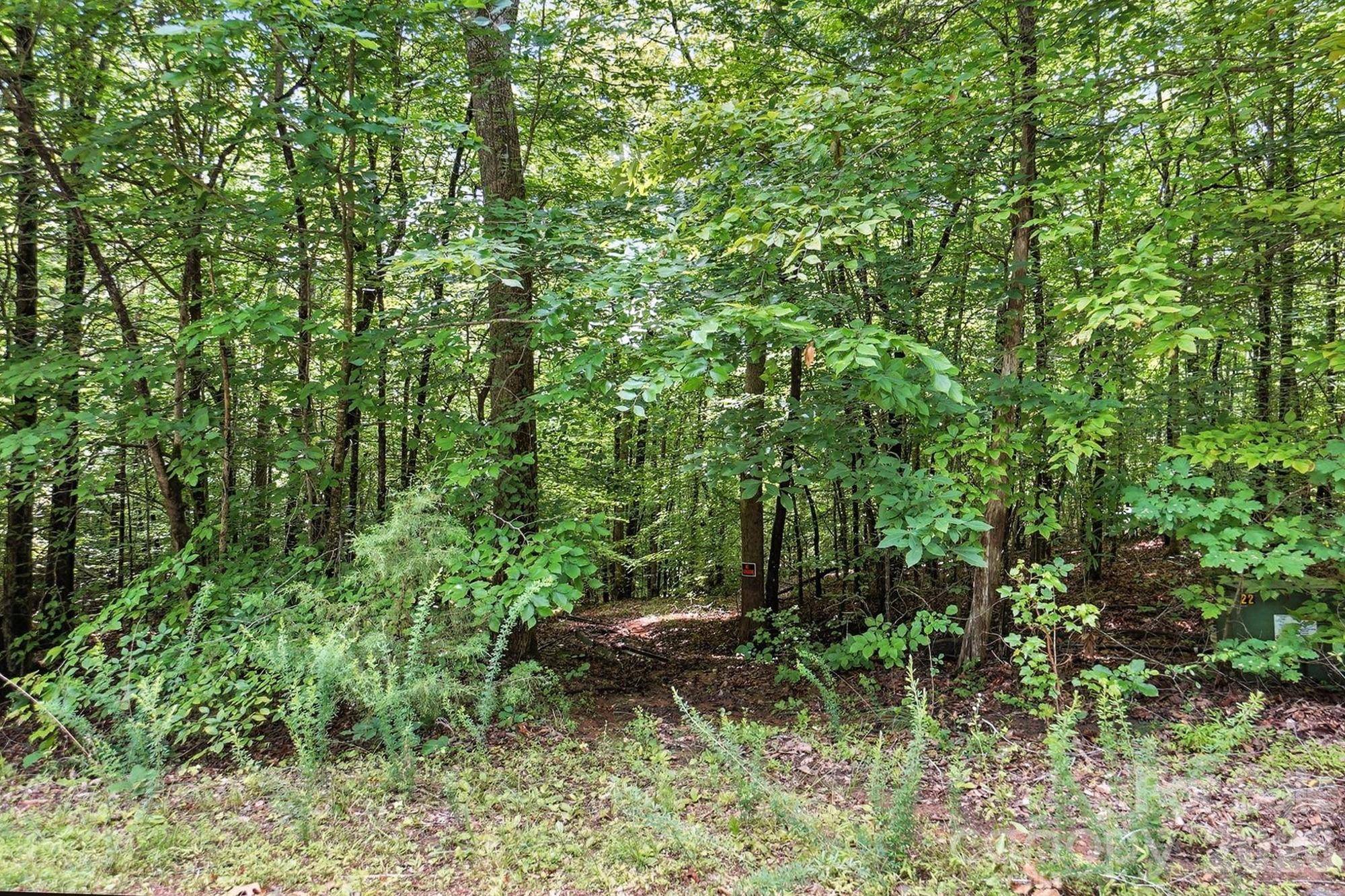 6 Hager Mountain LN, Iron Station, NC 28080