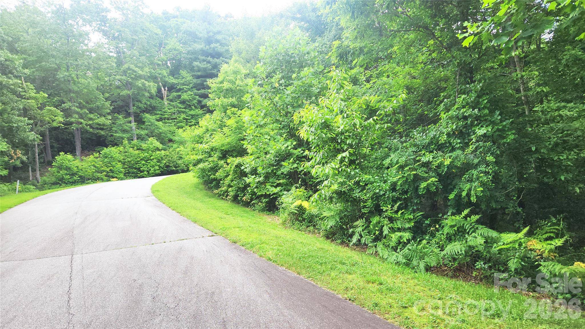 9999 Red Bud LN #13, Laurel Park, NC 28739