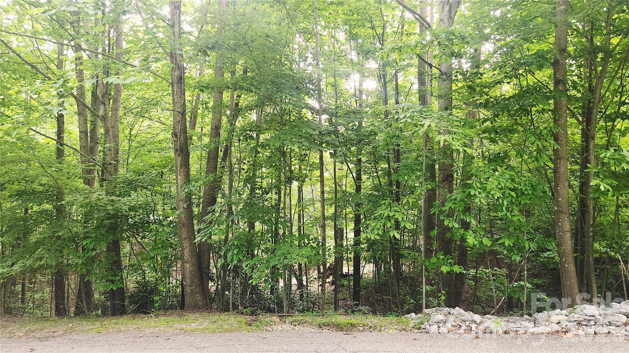 9999 Red Bud LN #13, Laurel Park, NC 28739