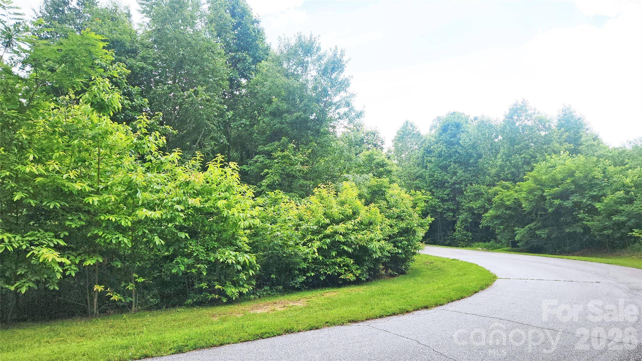 9999 Red Bud LN #13, Laurel Park, NC 28739
