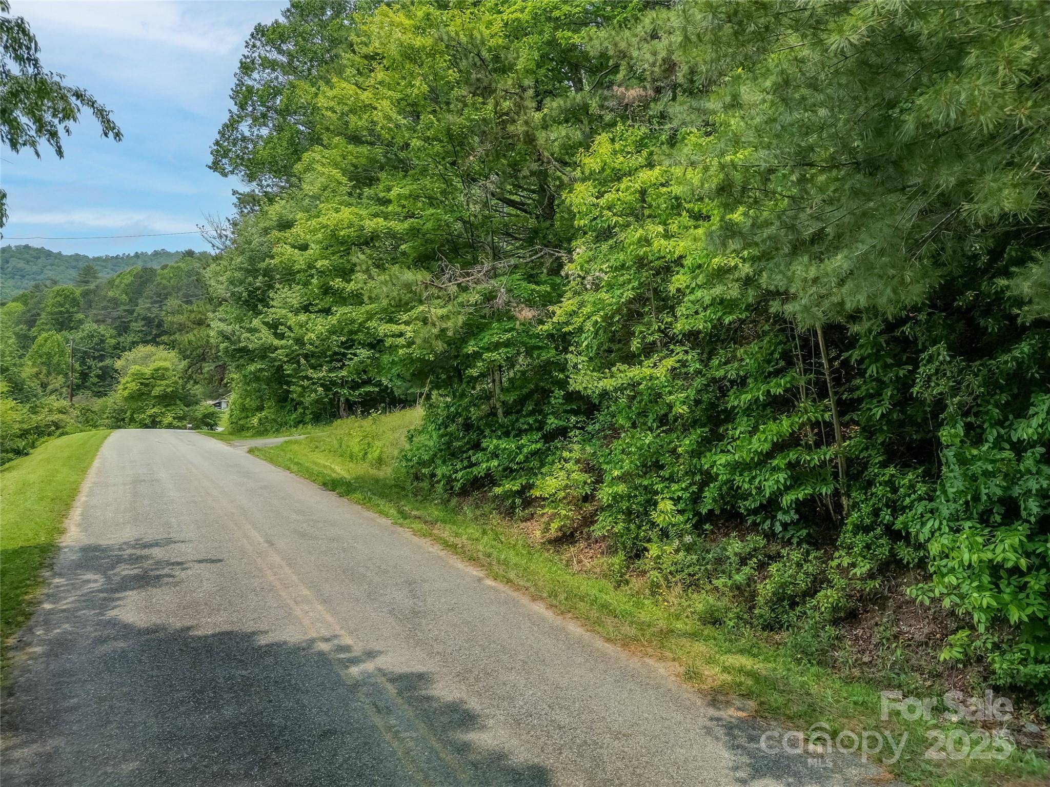 0000 Israel RD, Brevard, NC 28712