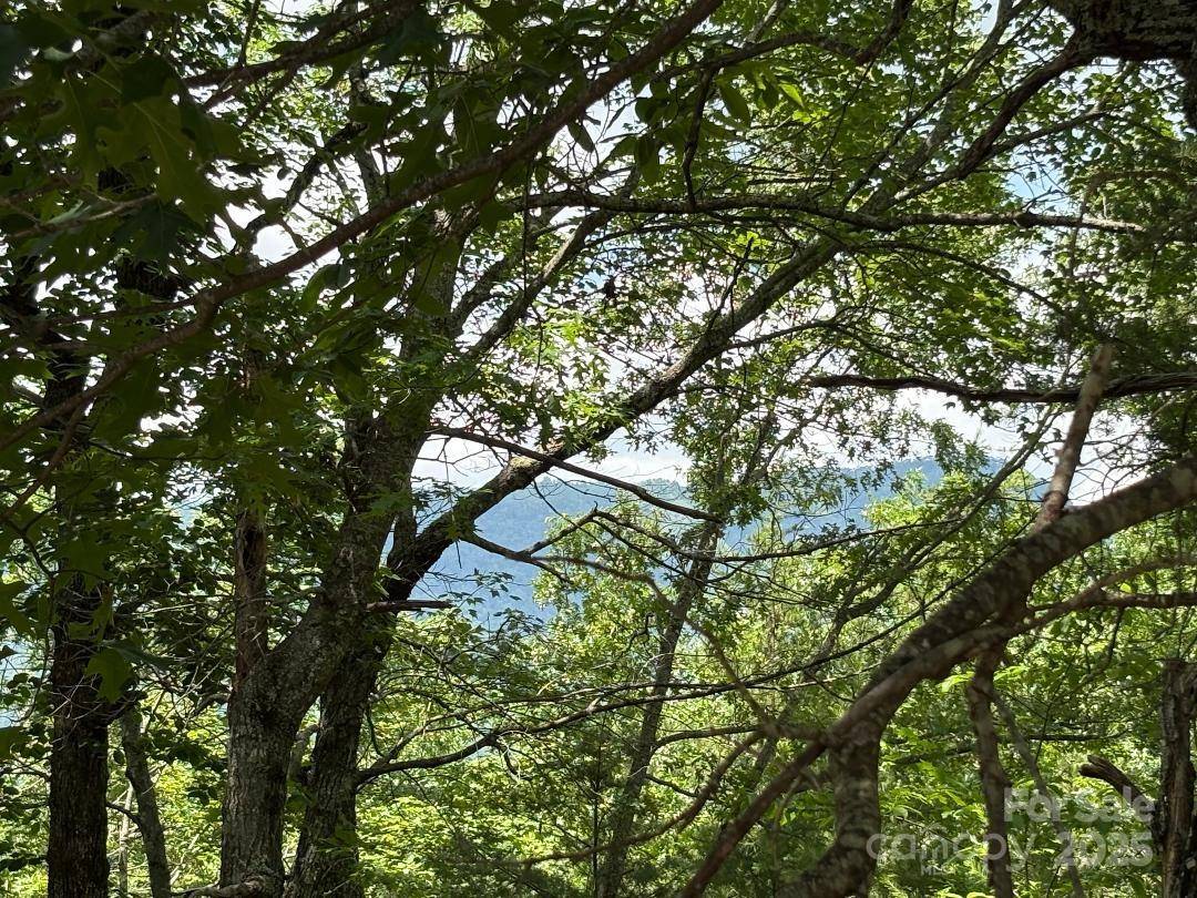 Lot 34 N Oakwood DR, Marion, NC 28752