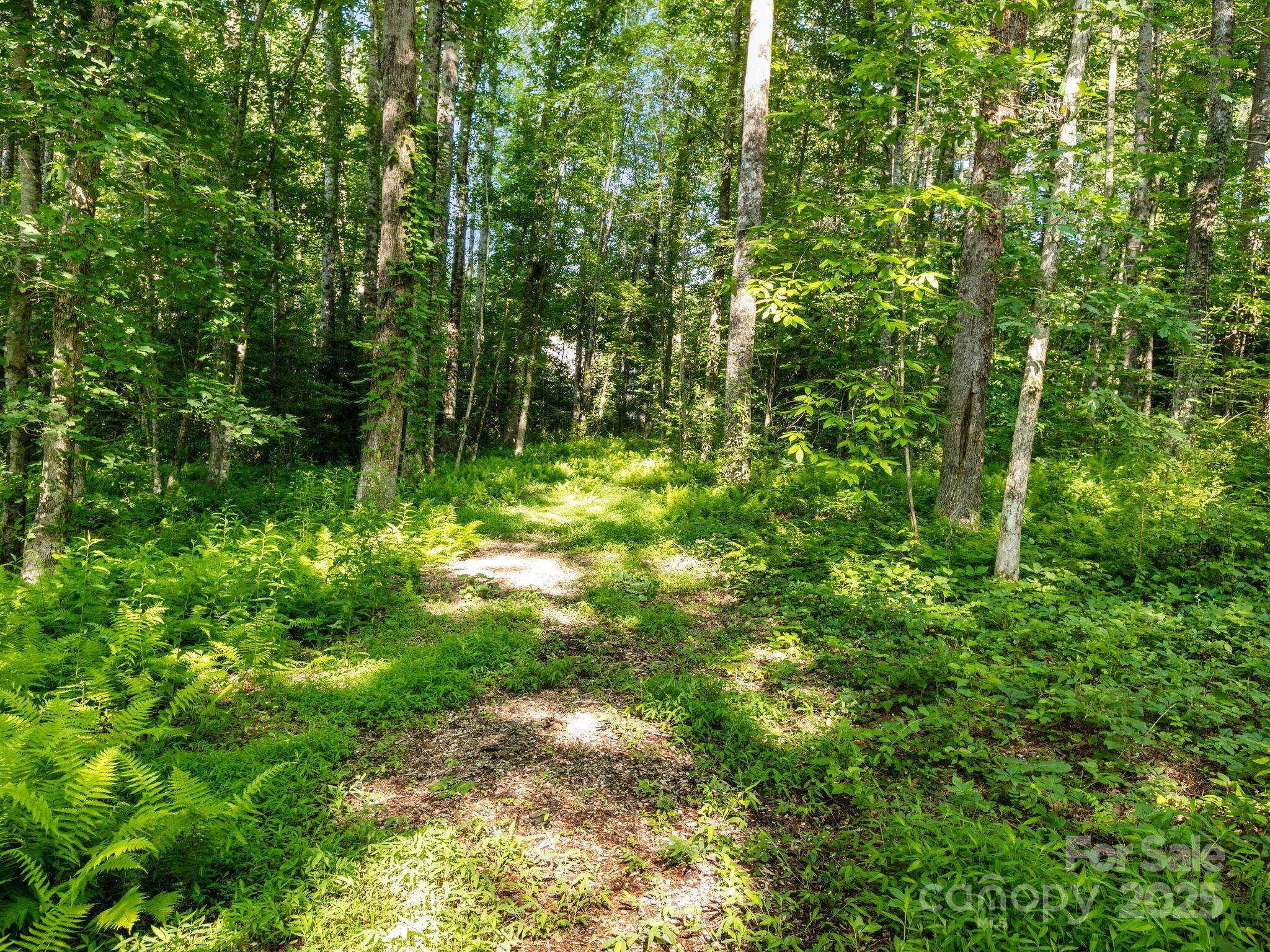 000 Old Town WAY, Hendersonville, NC 28739
