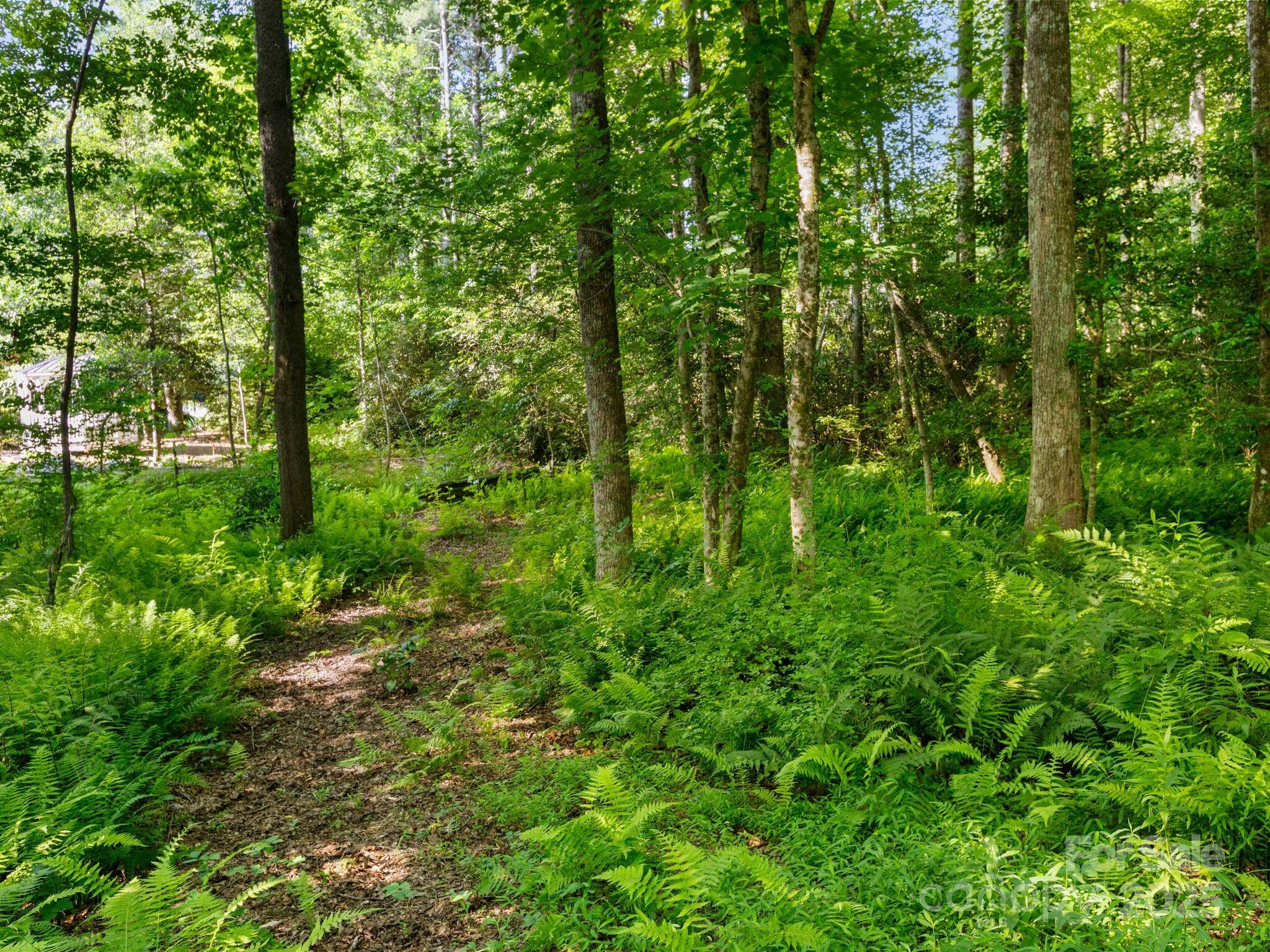 000 Old Town WAY, Hendersonville, NC 28739