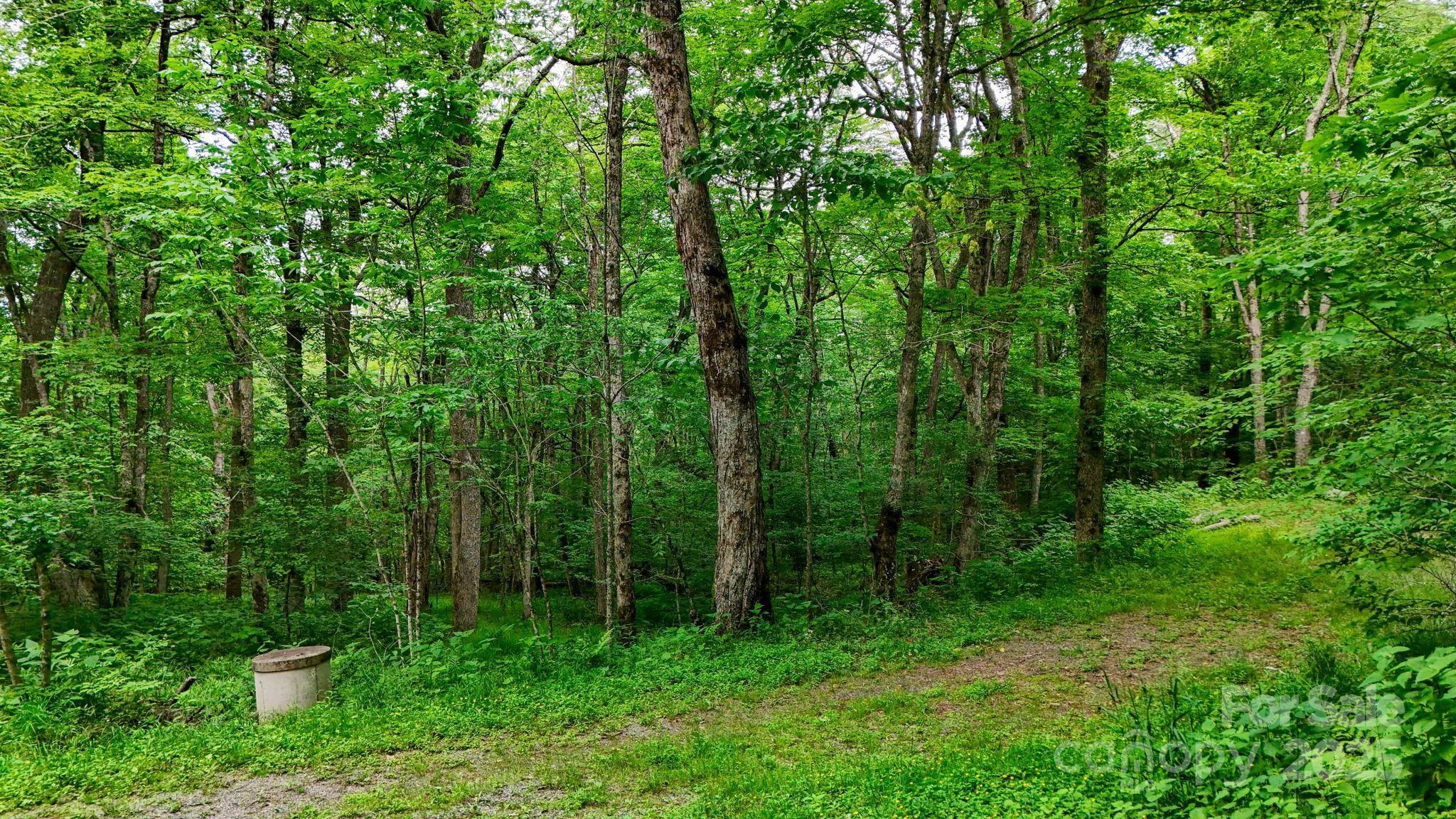 233 Woodland Springs TRL #14, Boone, NC 28607