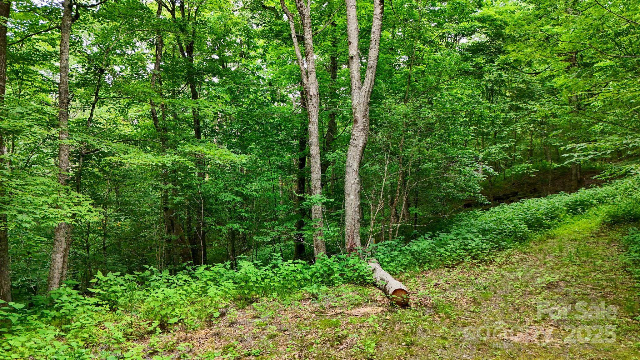 233 Woodland Springs TRL #14, Boone, NC 28607