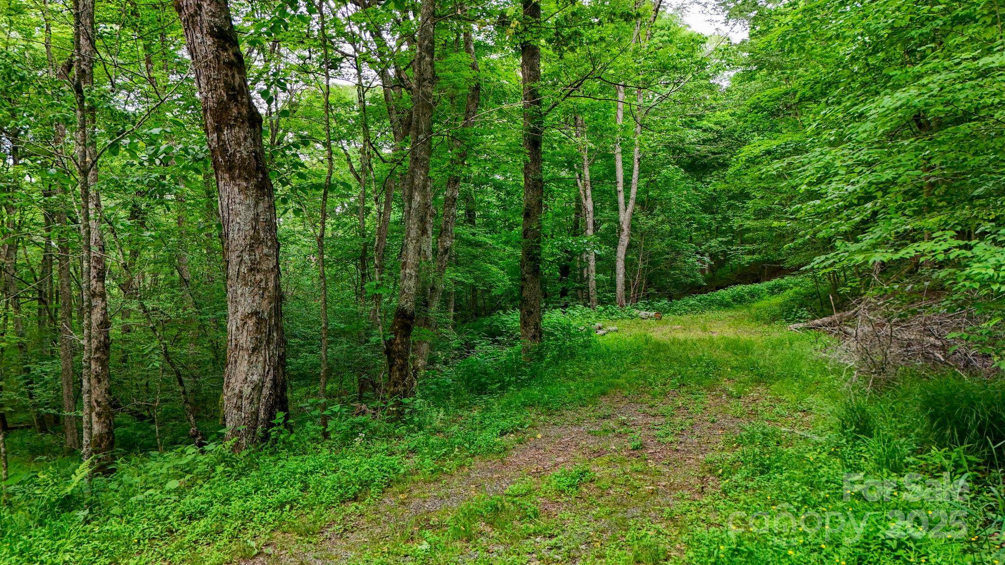 233 Woodland Springs TRL #14, Boone, NC 28607
