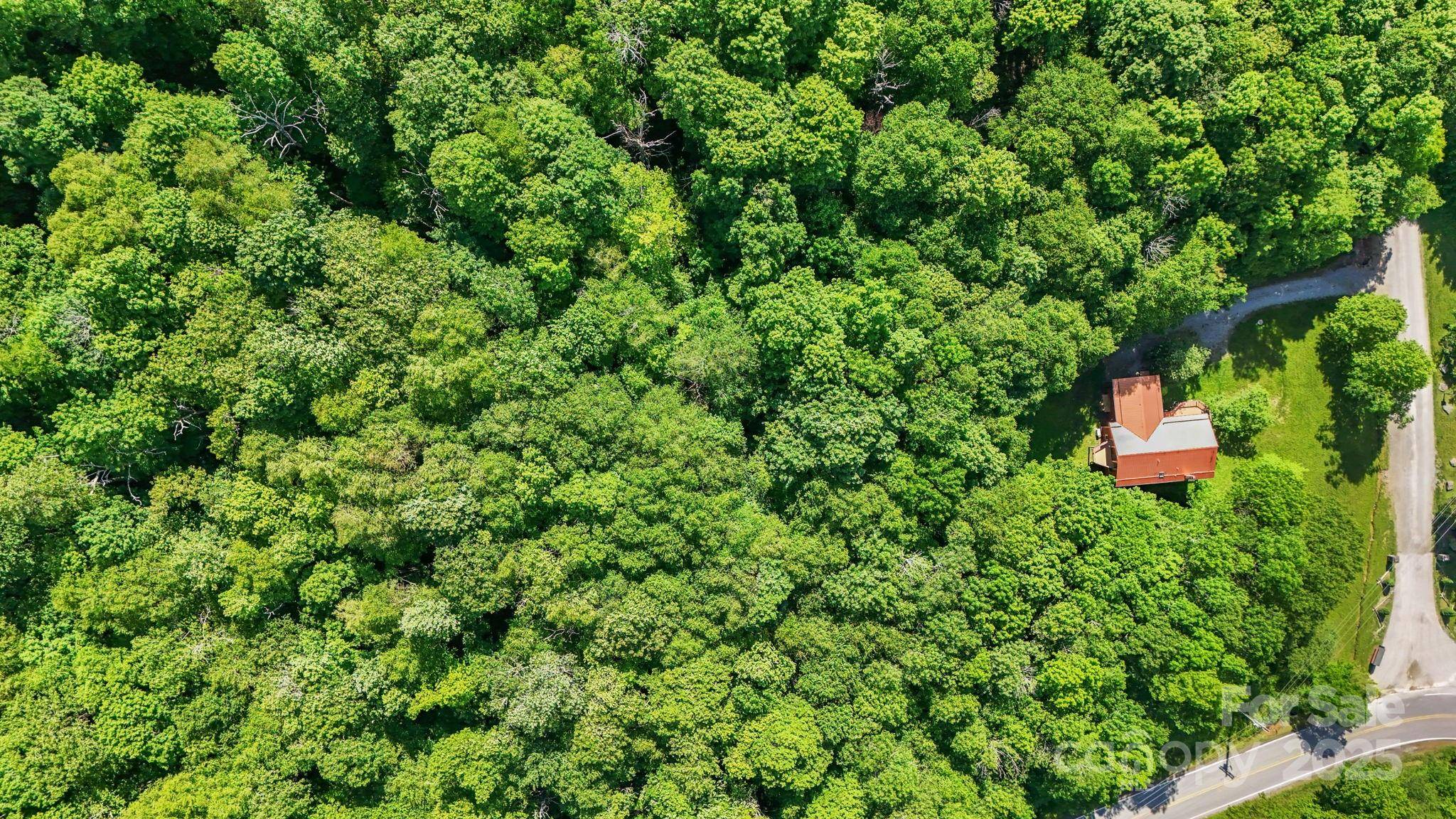 233 Woodland Springs TRL #14, Boone, NC 28607