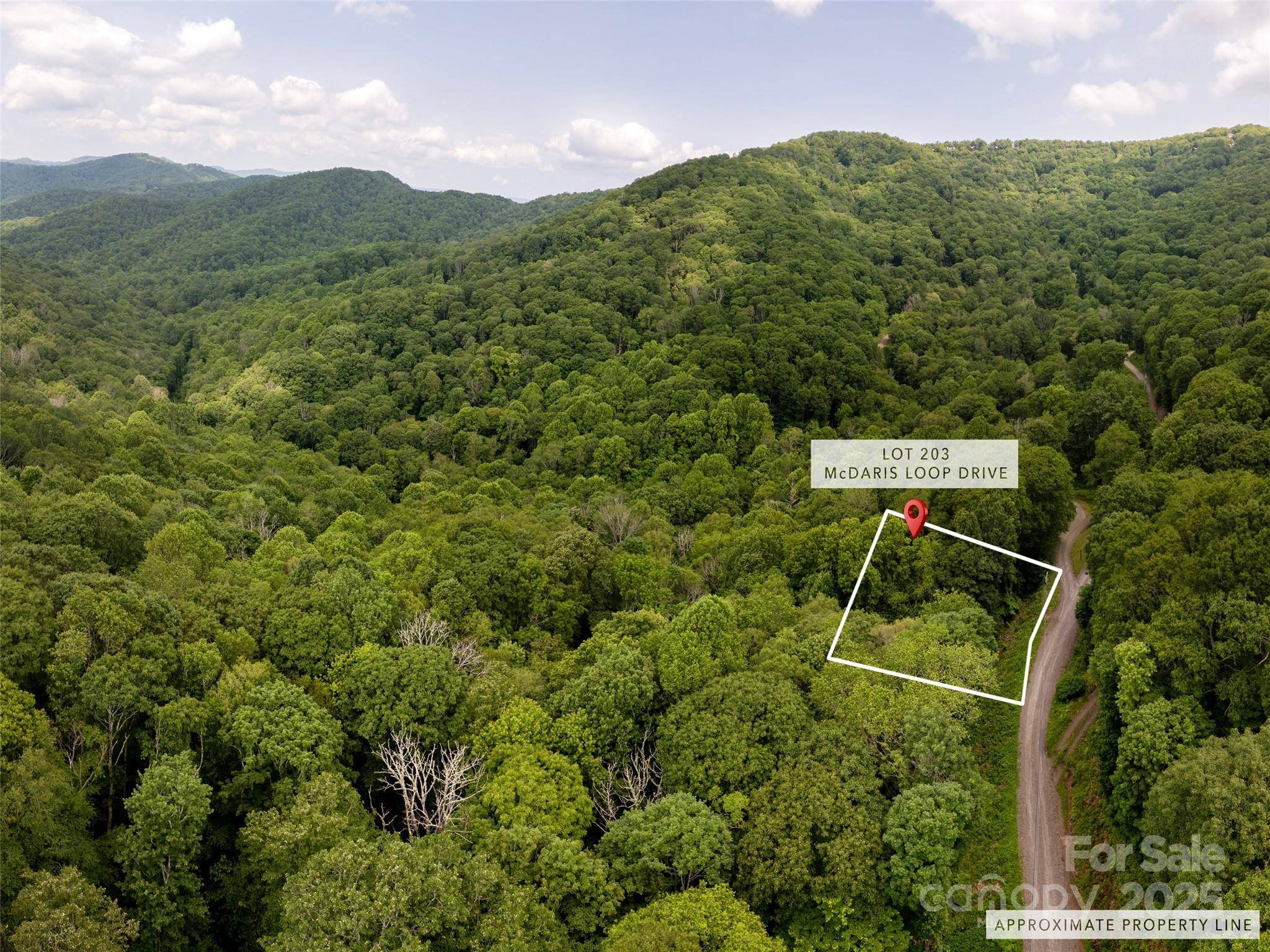 000 McDaris Loop DR #203, Mars Hill, NC 28754