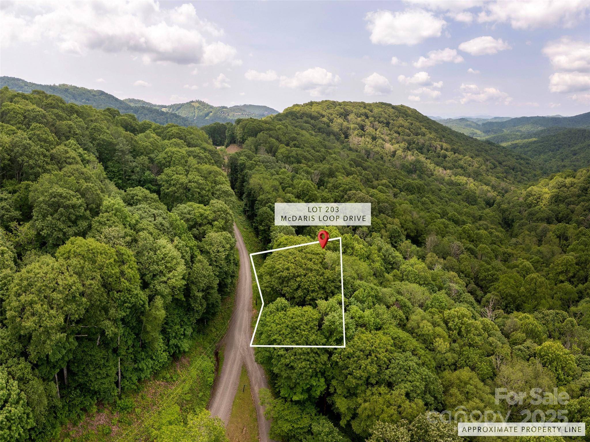 000 McDaris Loop DR #203, Mars Hill, NC 28754