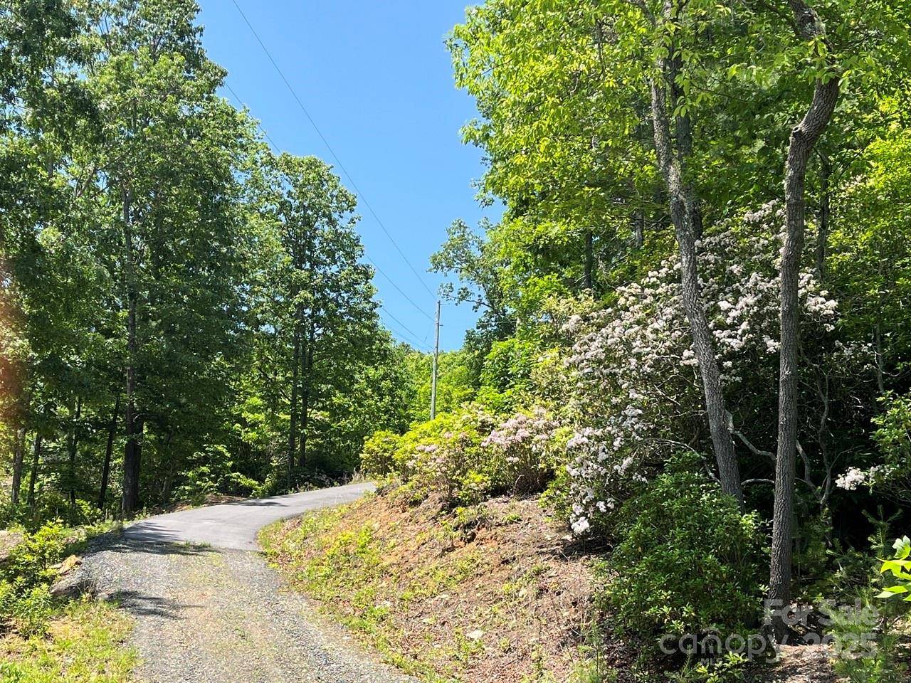 0000 Humpback Mountain RD, Spruce Pine, NC 28777