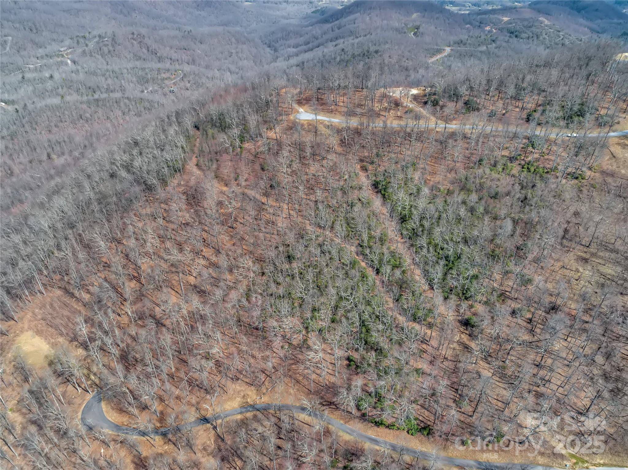 154 High Cliffs TRL #Lot 12A, Black Mountain, NC 28711