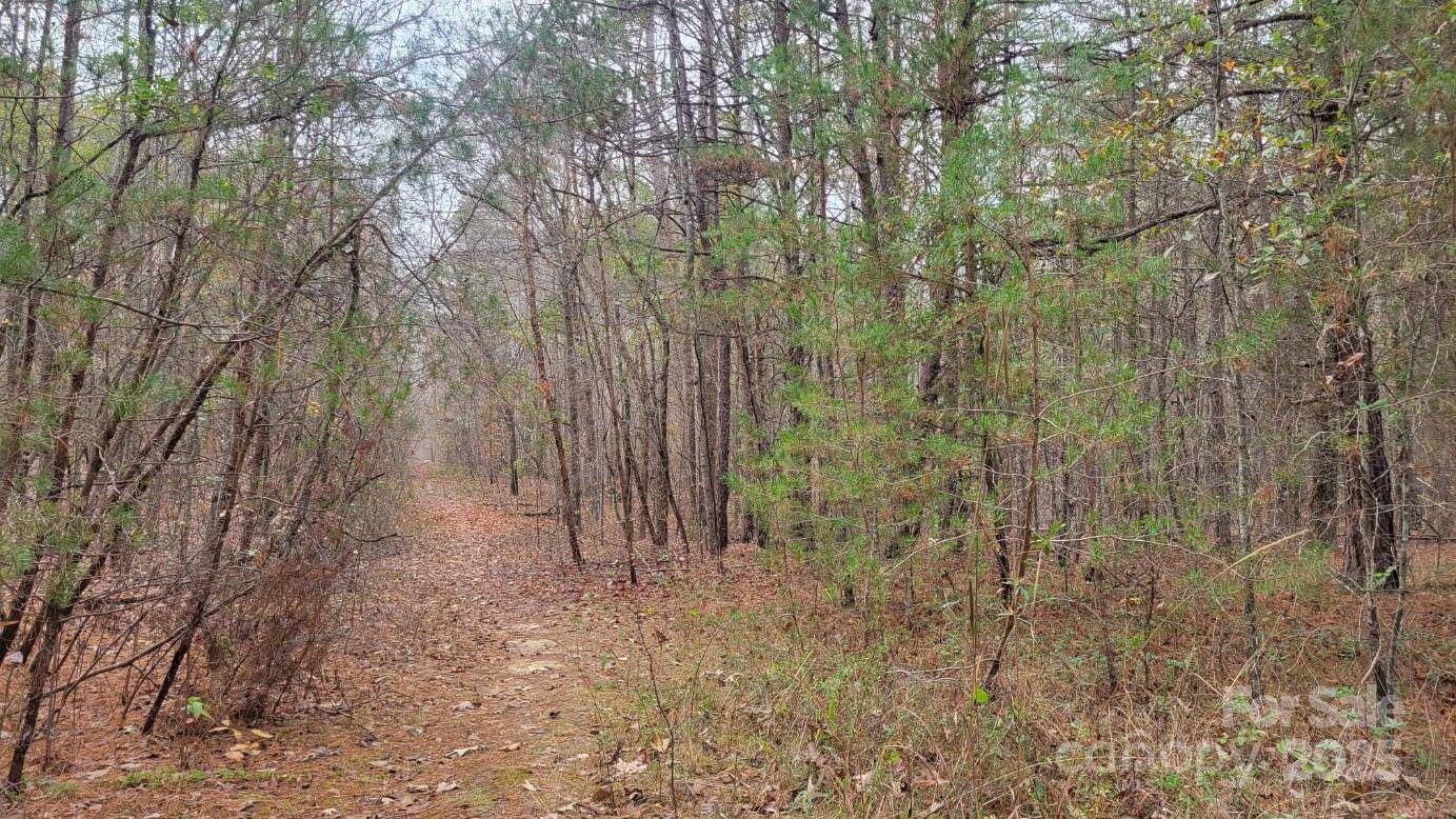 0000 Indian Creek RD, Lincolnton, NC 28092