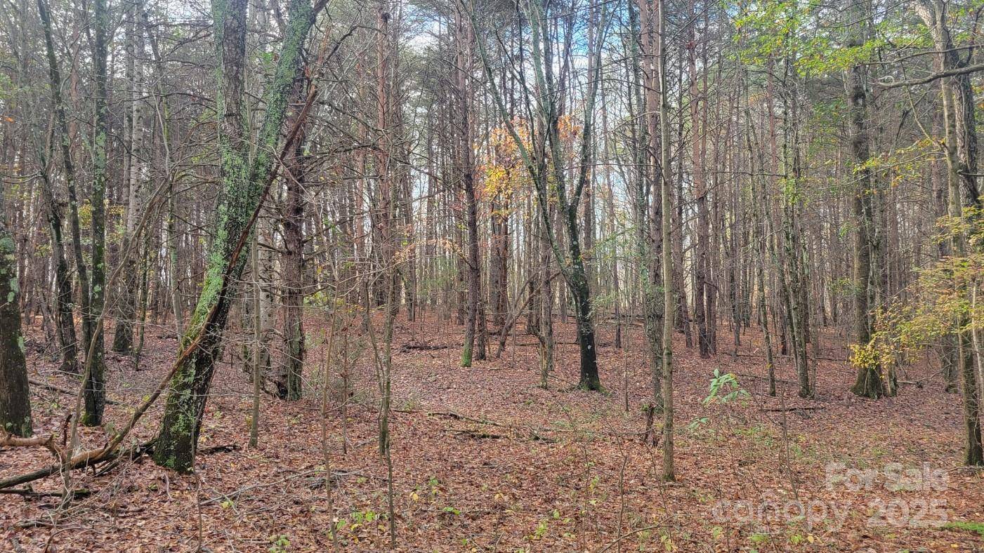 0000 Indian Creek RD, Lincolnton, NC 28092
