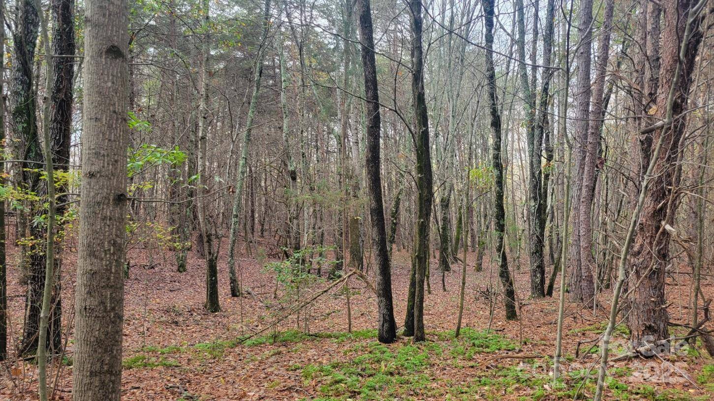 0000 Indian Creek RD, Lincolnton, NC 28092