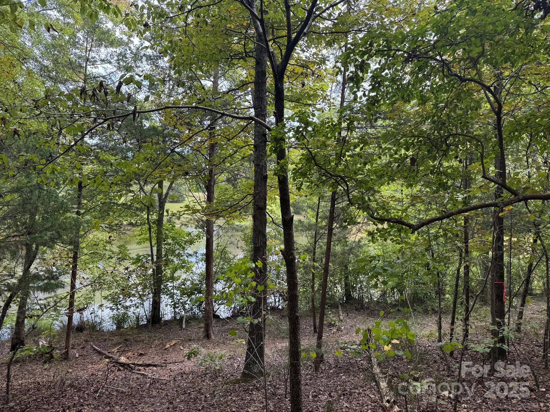 357 Pendergrass RD, York, SC 29745