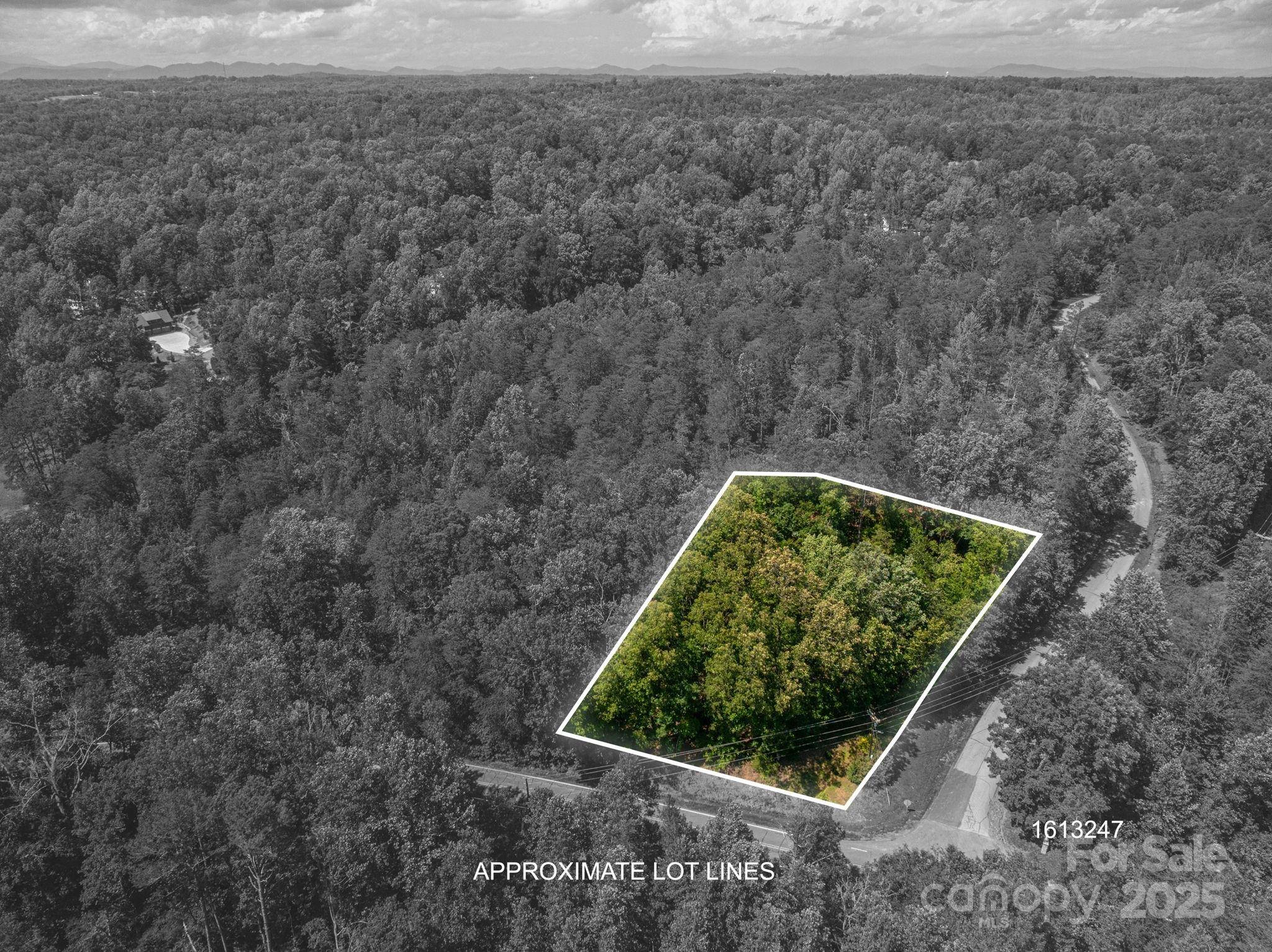 Lot #6 Cleghorn Mill RD, Rutherfordton, NC 28139