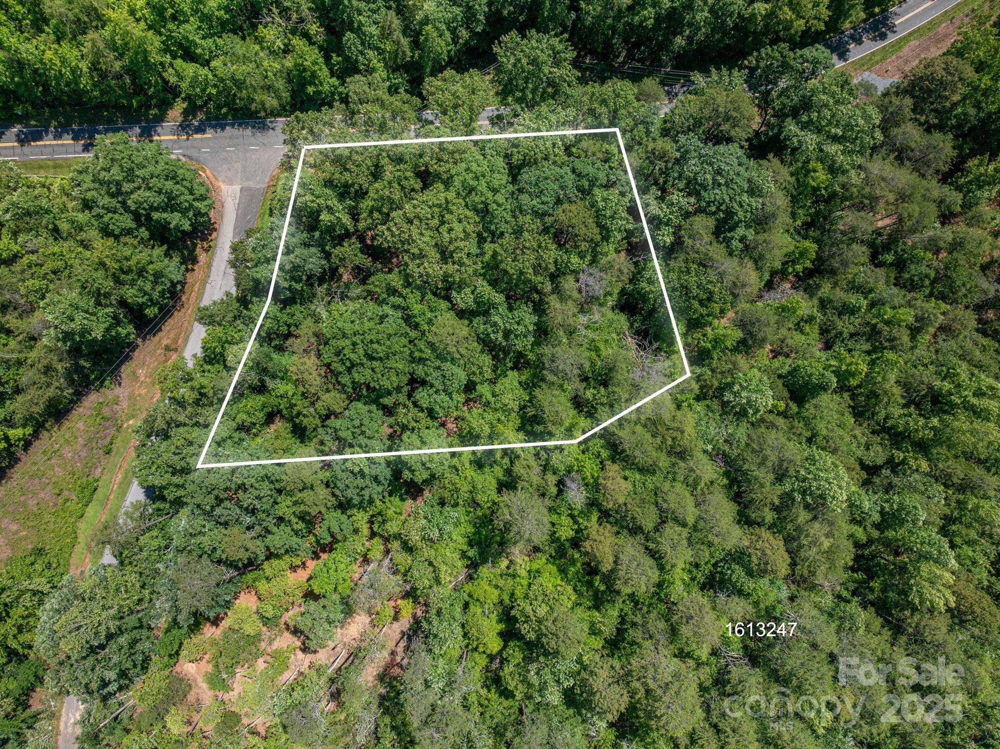 Lot #6 Cleghorn Mill RD, Rutherfordton, NC 28139
