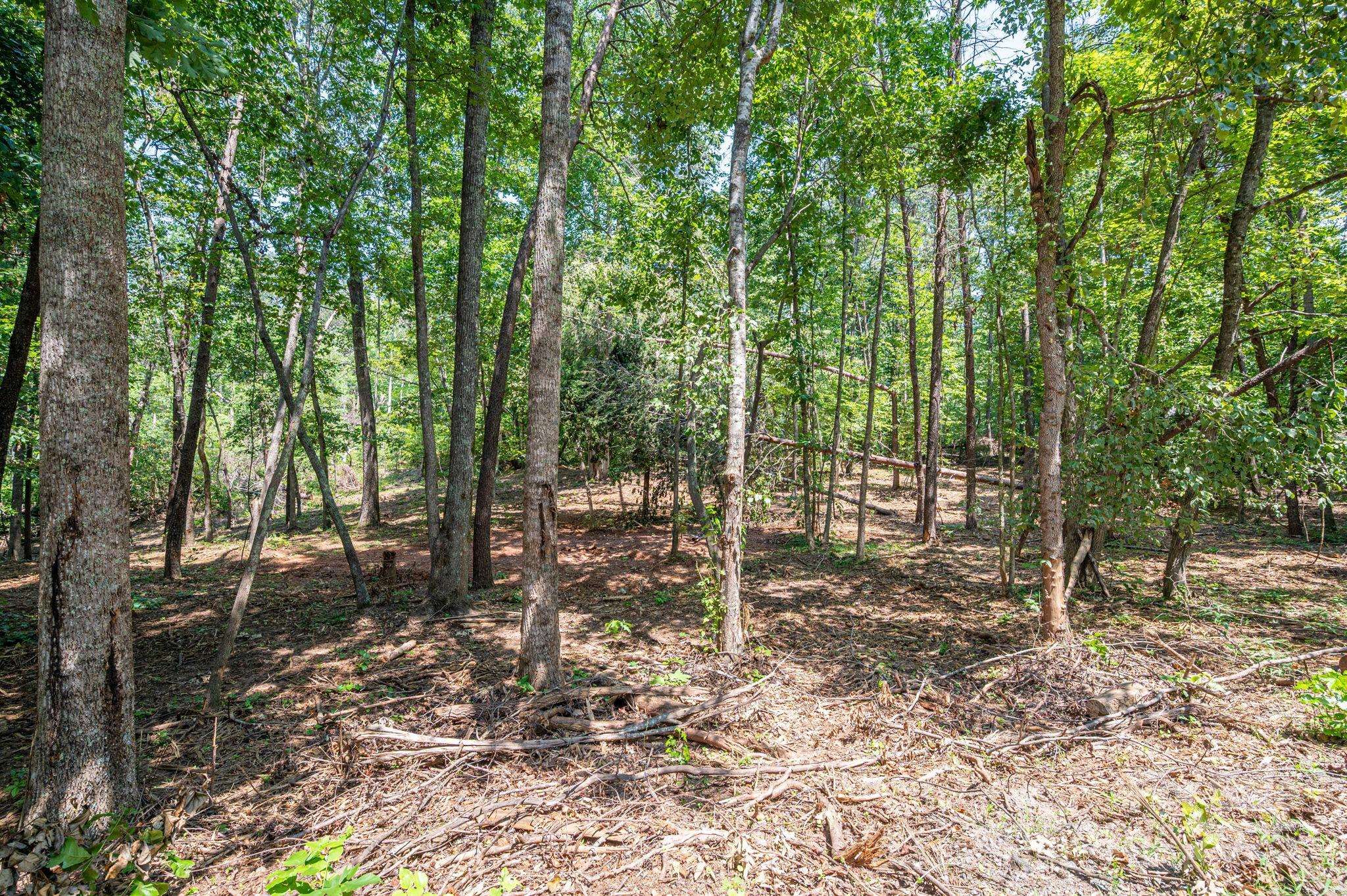 Lot 0 Annapolis CT, Rutherfordton, NC 28139