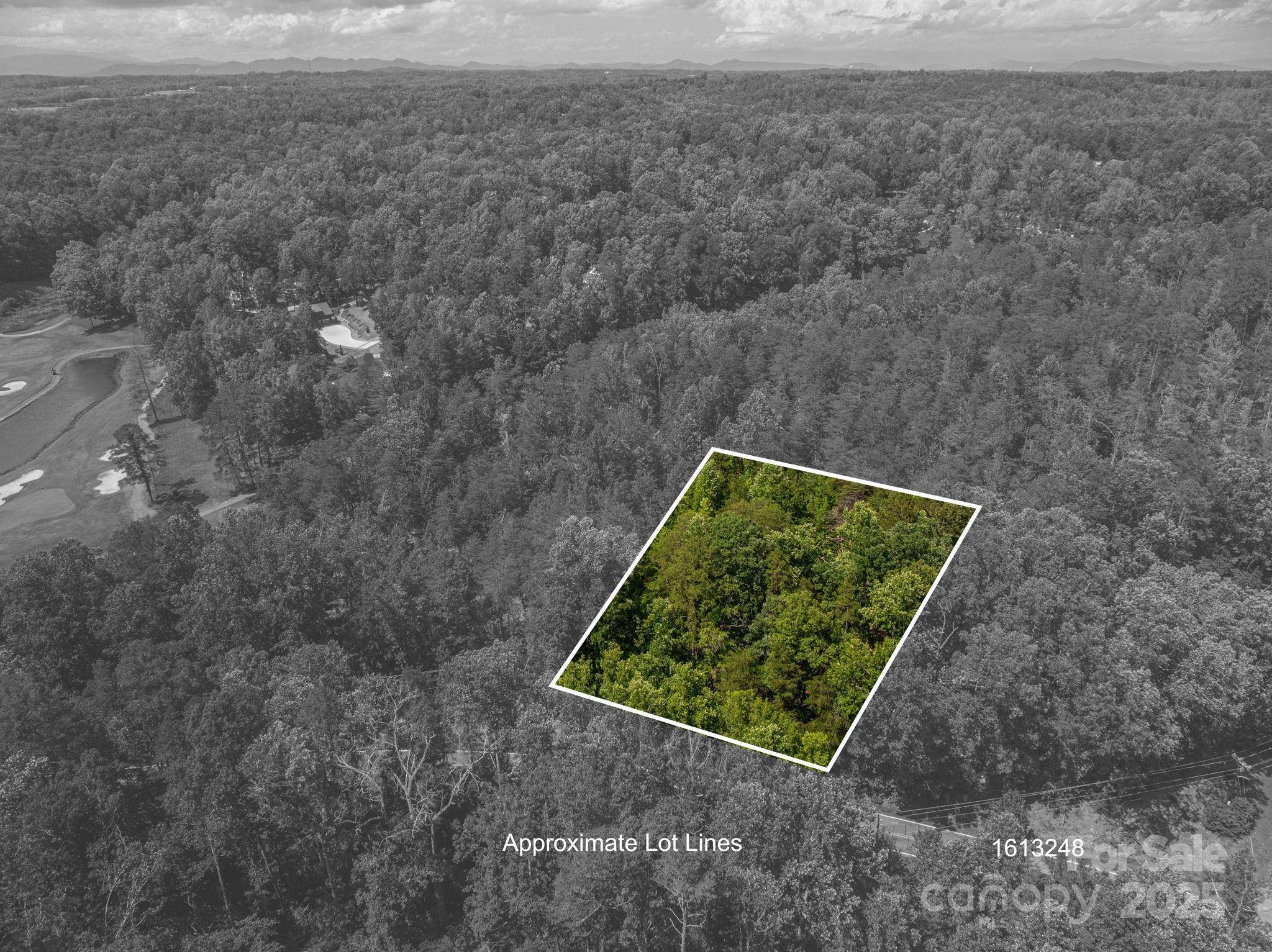 Lot 7 Cleghorn Mill RD, Rutherfordton, NC 28139