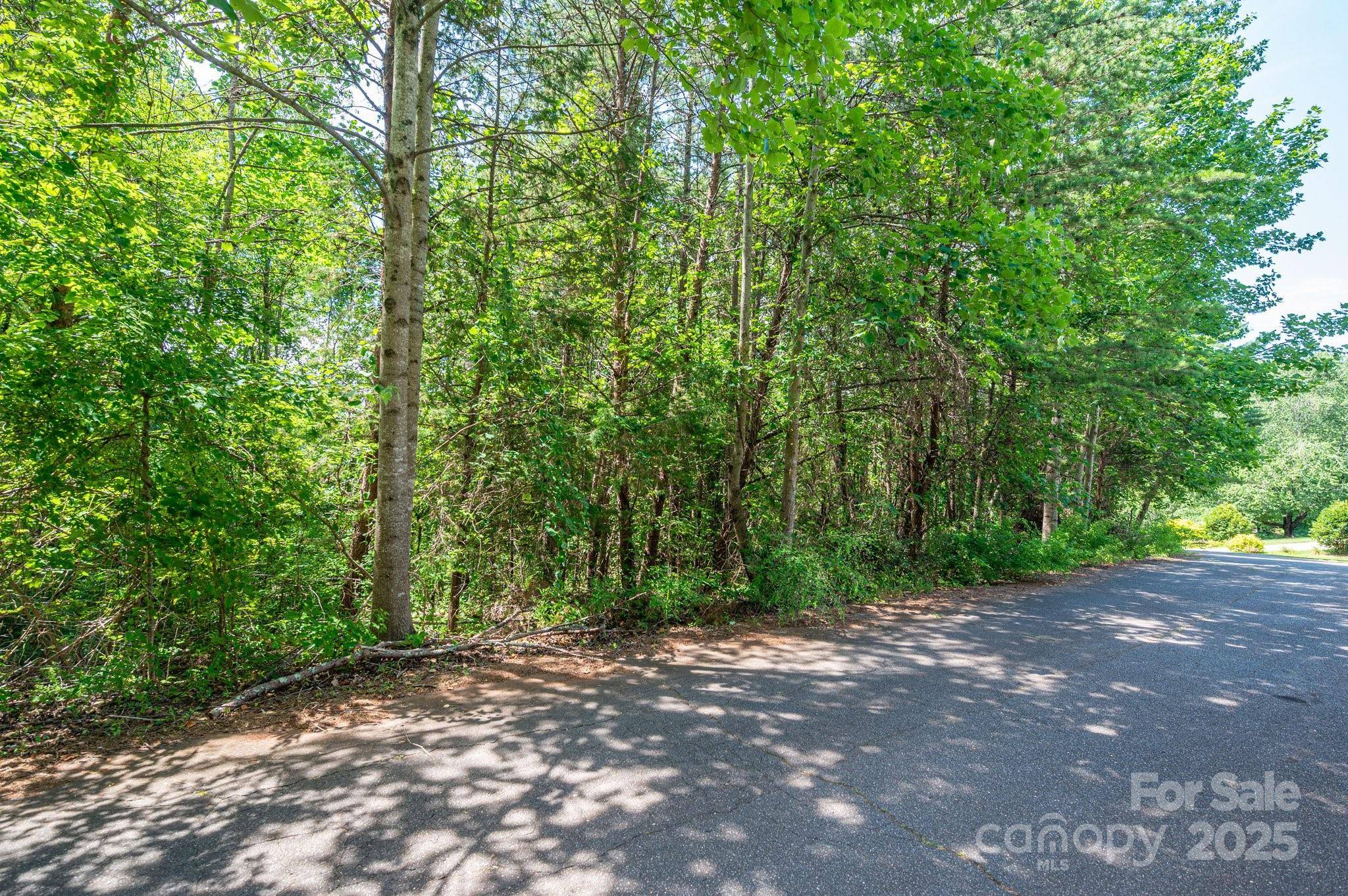 Lot #24 Deacons Ridge DR, Rutherfordton, NC 28139
