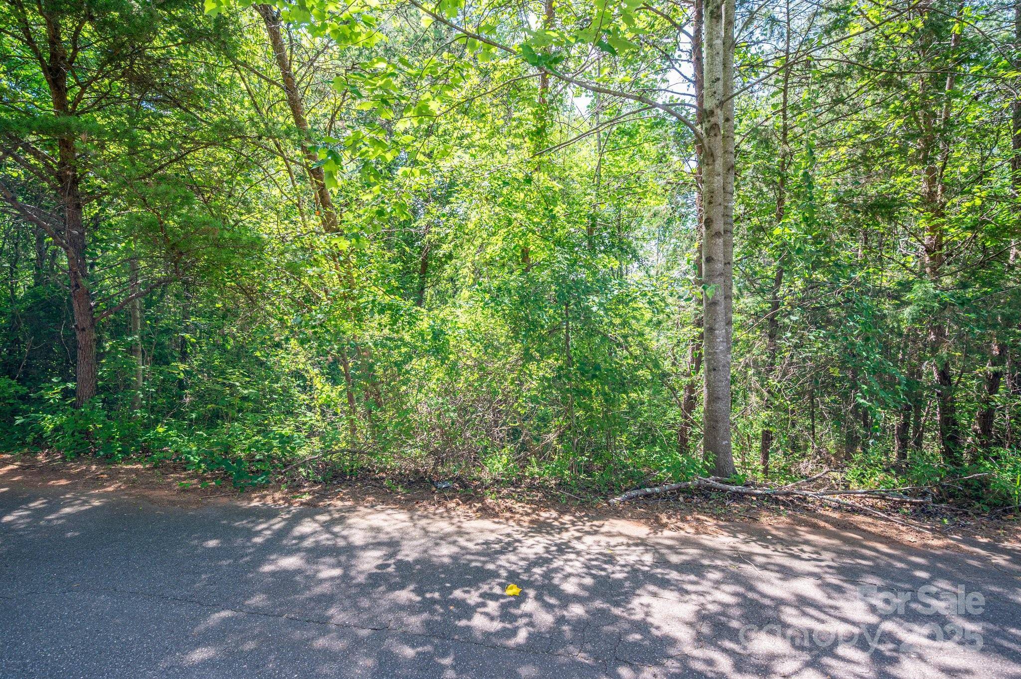 Lot #24 Deacons Ridge DR, Rutherfordton, NC 28139