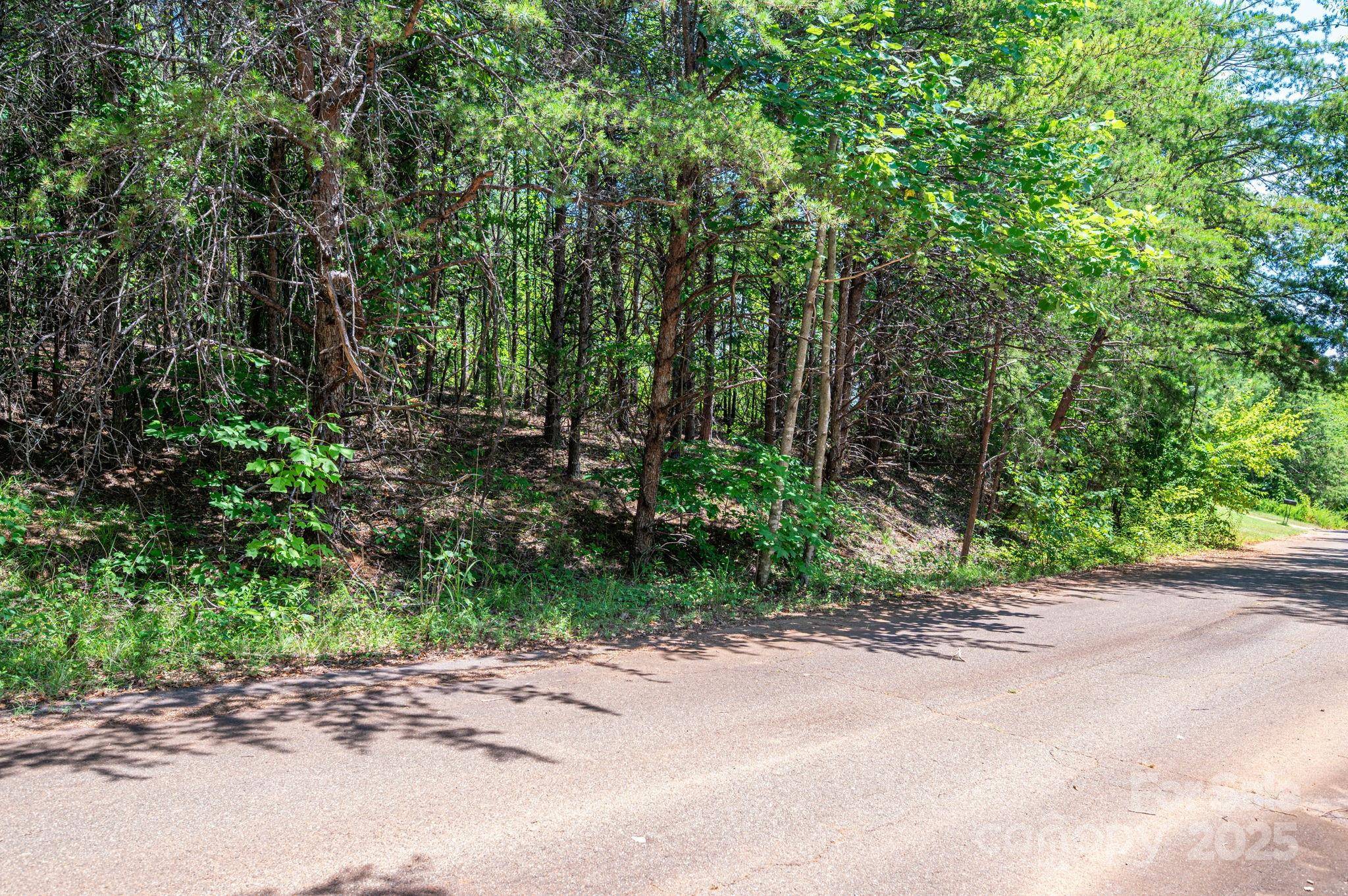 Lot 10 Meadow Crossing DR, Rutherfordton, NC 28139