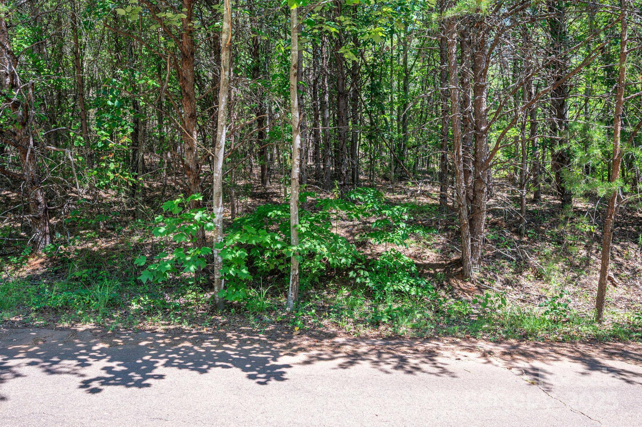 Lot 10 Meadow Crossing DR, Rutherfordton, NC 28139