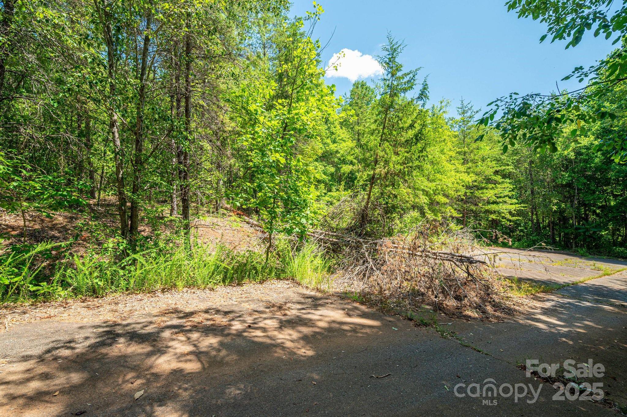 0 Meadow Crossing DR, Rutherfordton, NC 28139