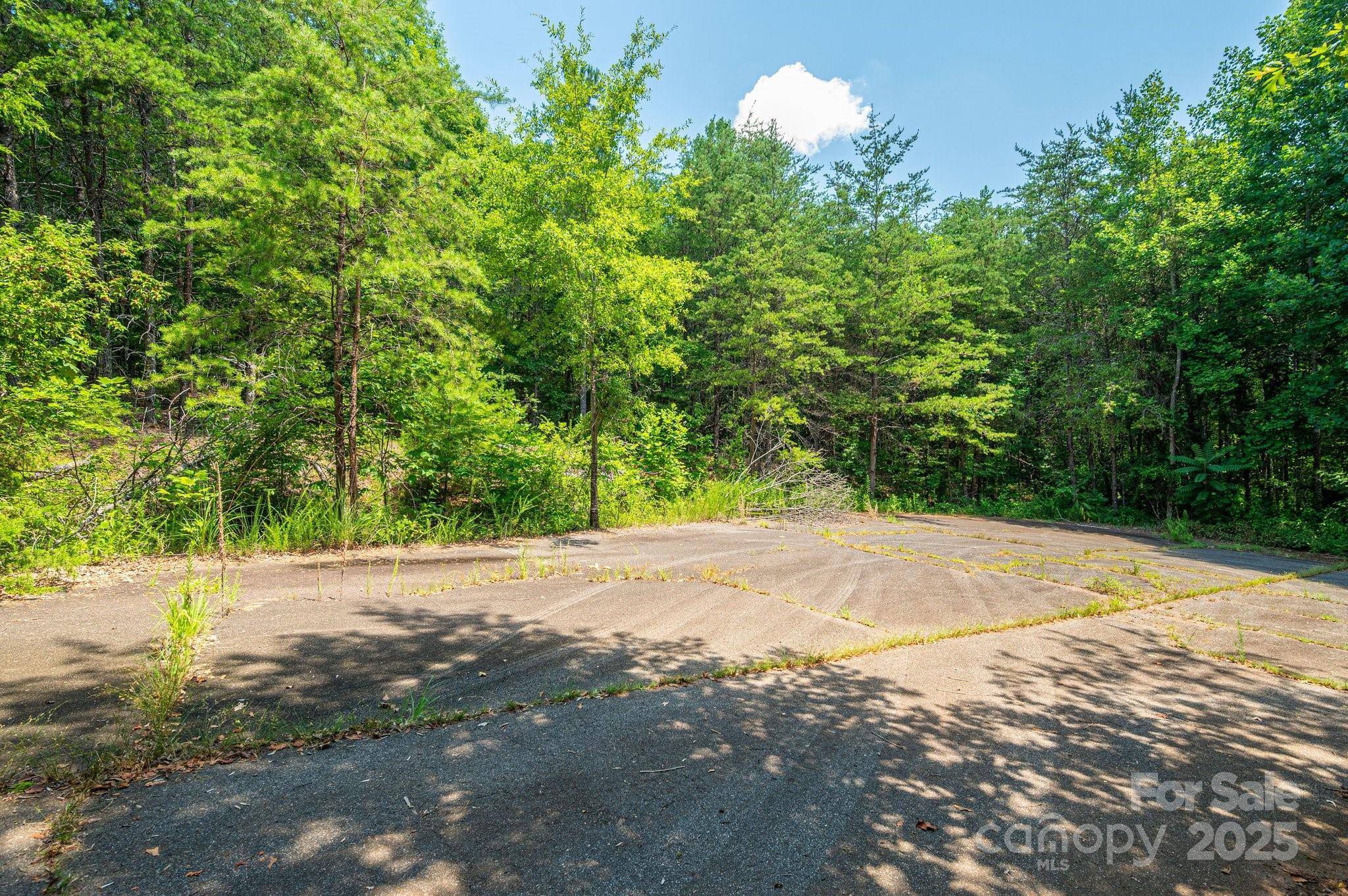0 Meadow Crossing DR, Rutherfordton, NC 28139