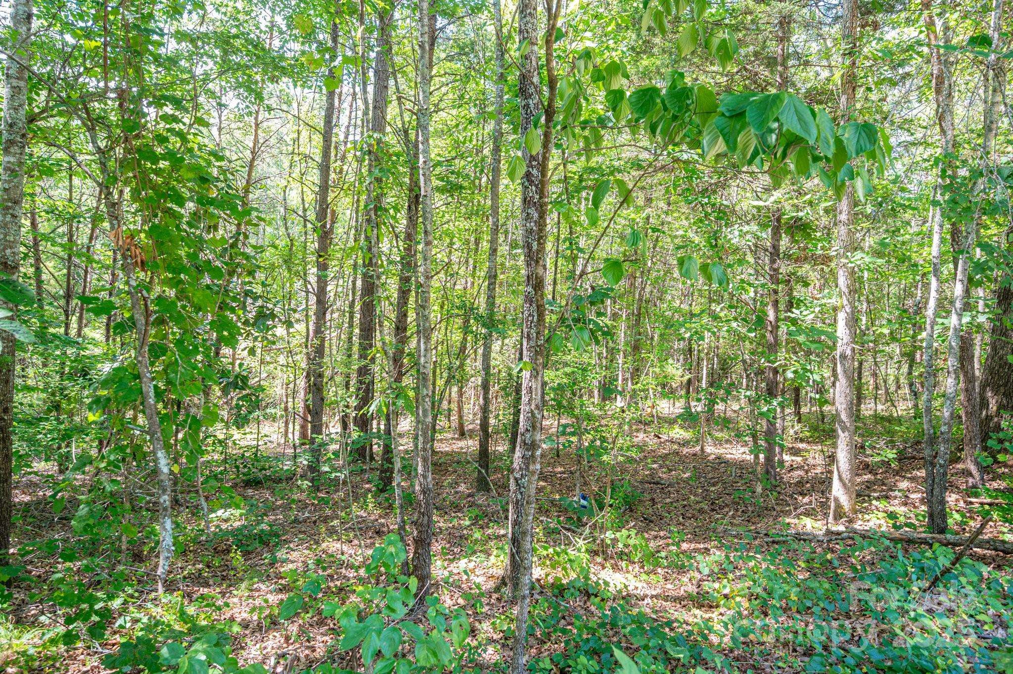 Lot # 16 Meadow Crossing DR, Rutherfordton, NC 28139
