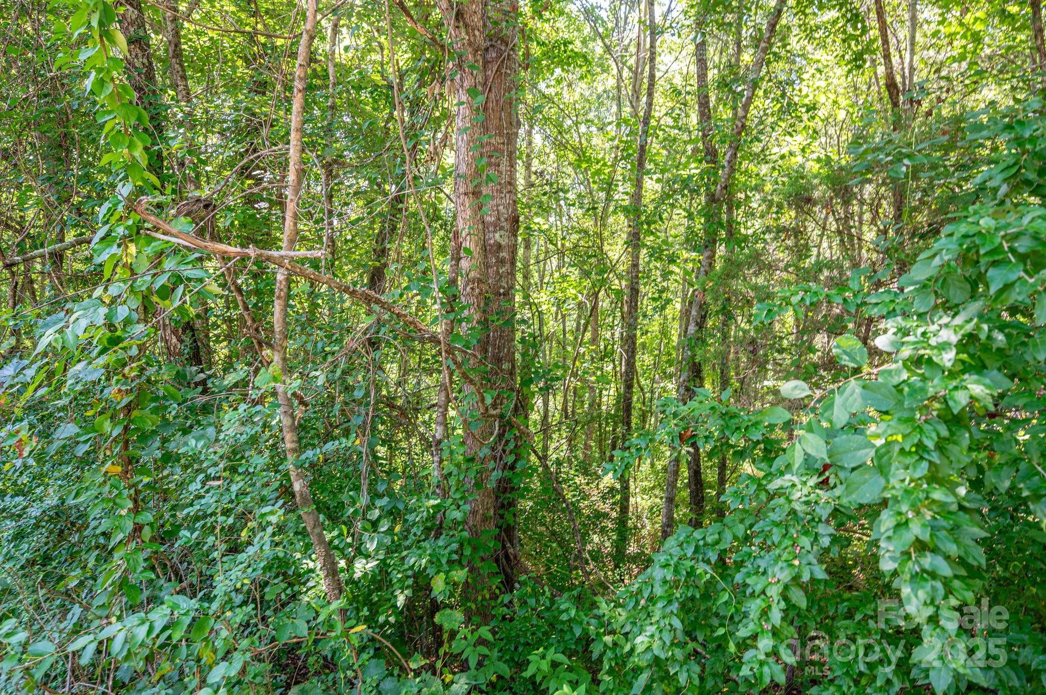 Lot # 16 Meadow Crossing DR, Rutherfordton, NC 28139