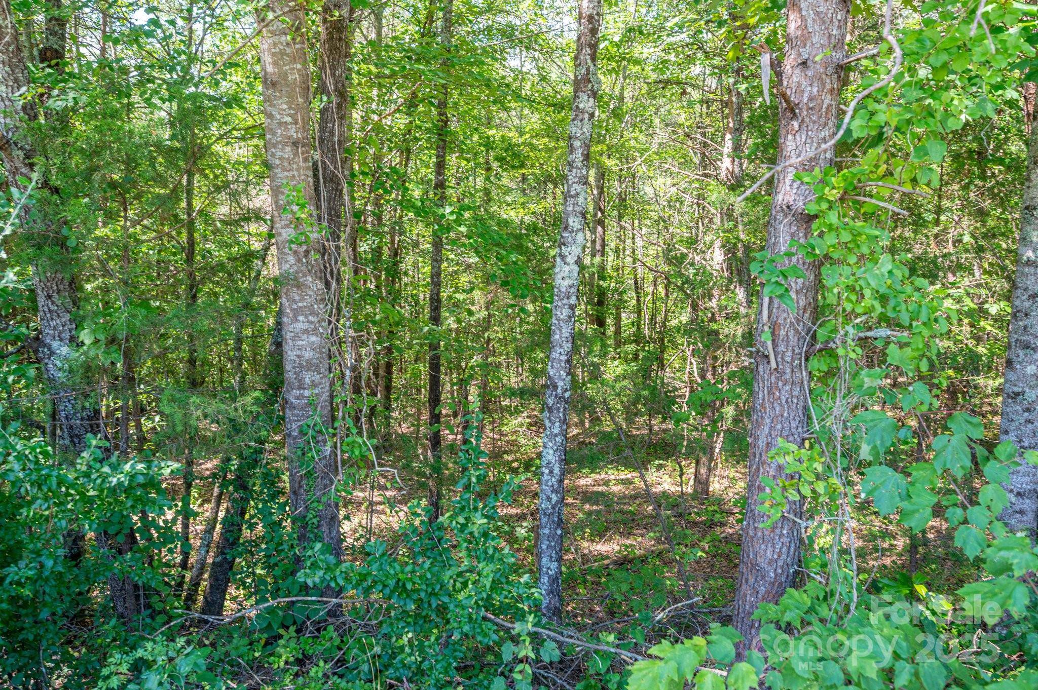 Lot 7 Meadow Crossing DR, Rutherfordton, NC 28139