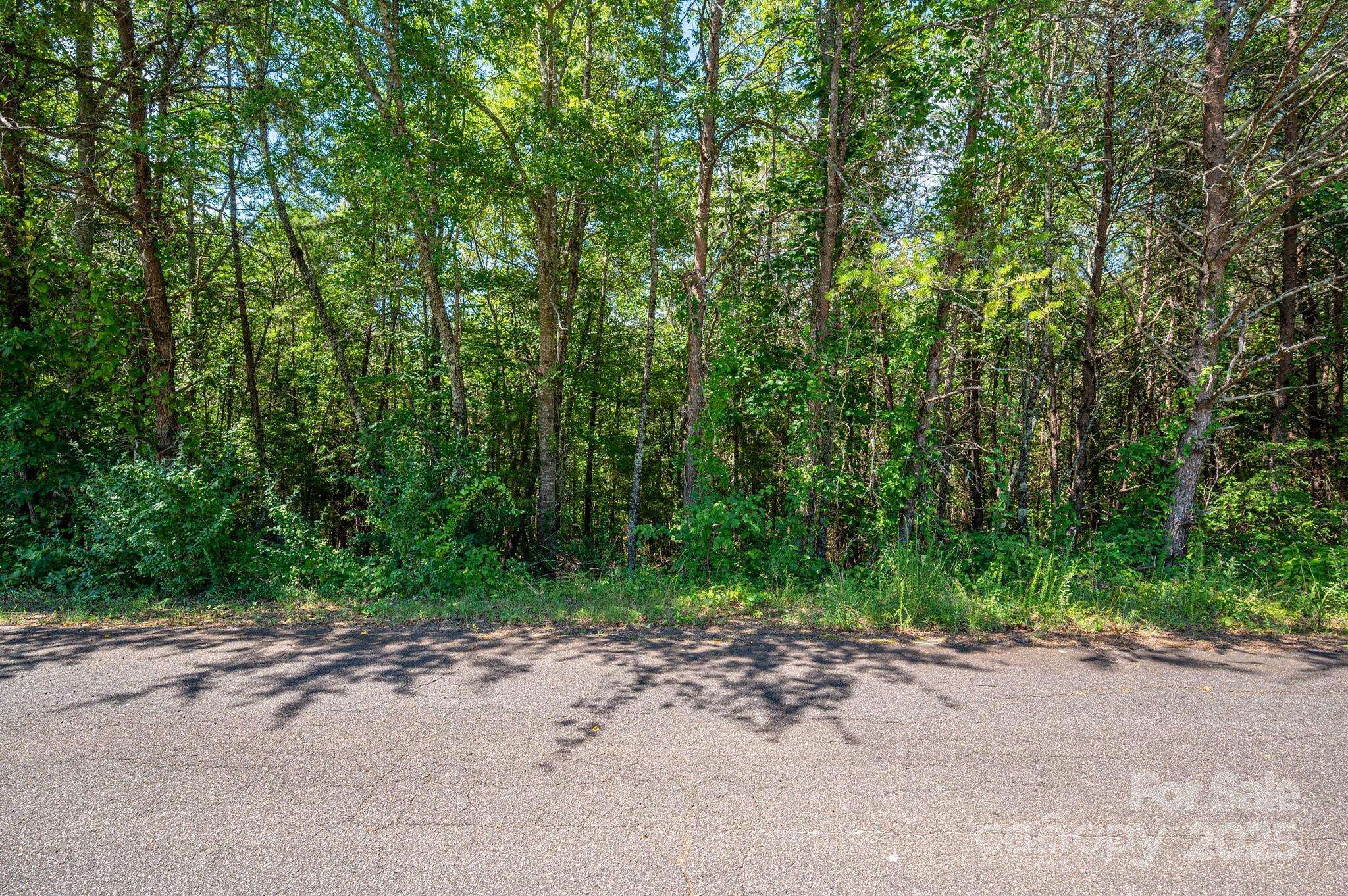 Lot 7 Meadow Crossing DR, Rutherfordton, NC 28139