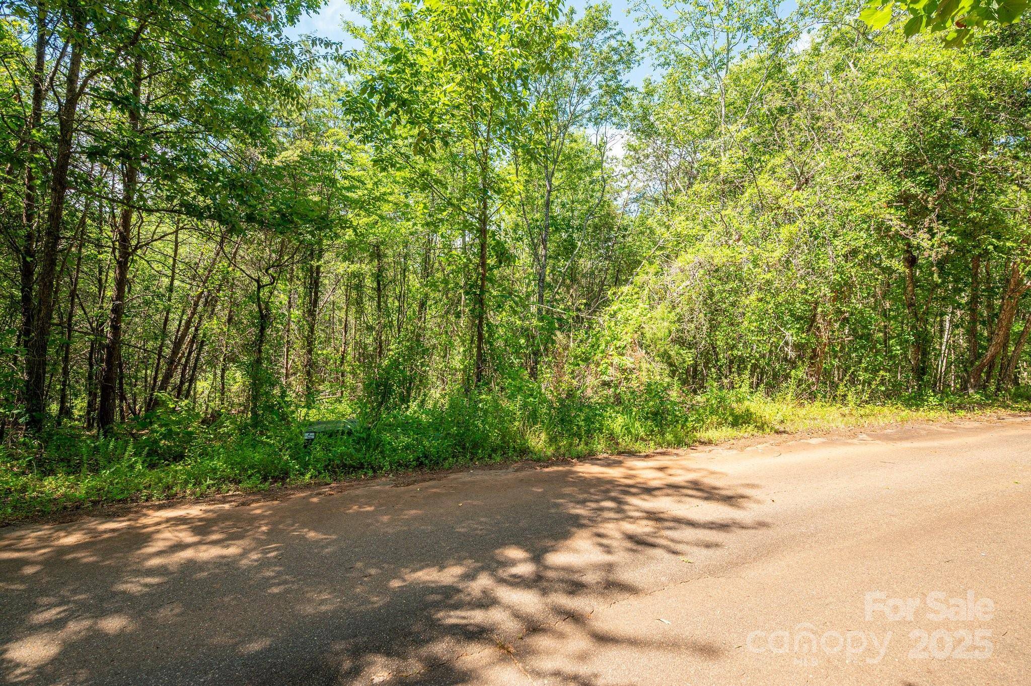 Lot #14 Meadow Crossing DR, Rutherfordton, NC 28139