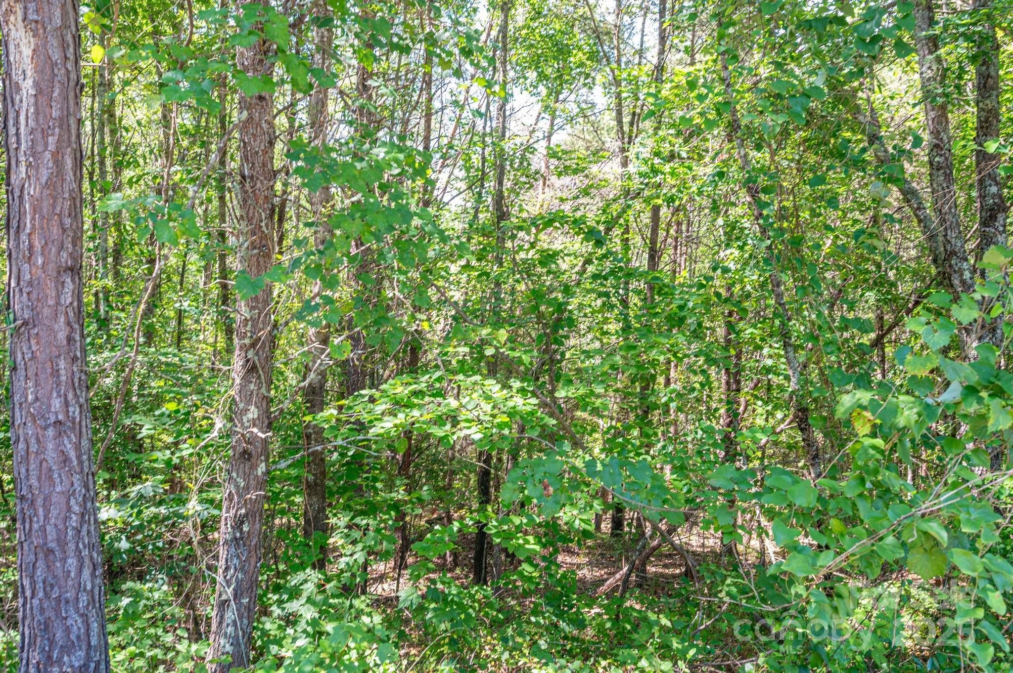 Lot #13 Meadow Crossing DR, Rutherfordton, NC 28139
