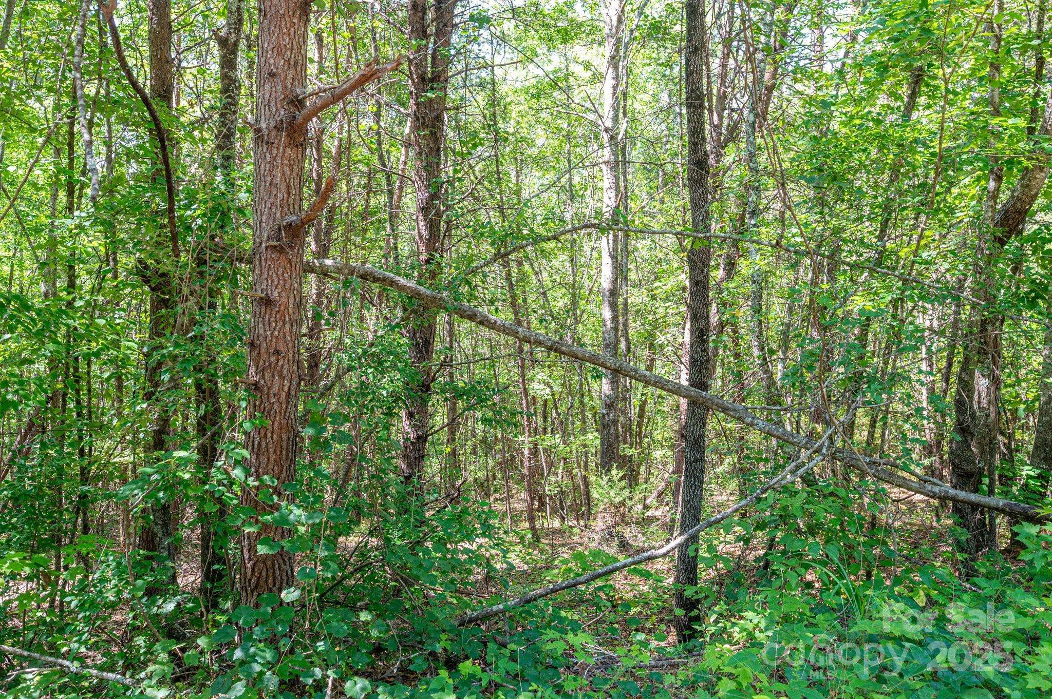 Lot #13 Meadow Crossing DR, Rutherfordton, NC 28139