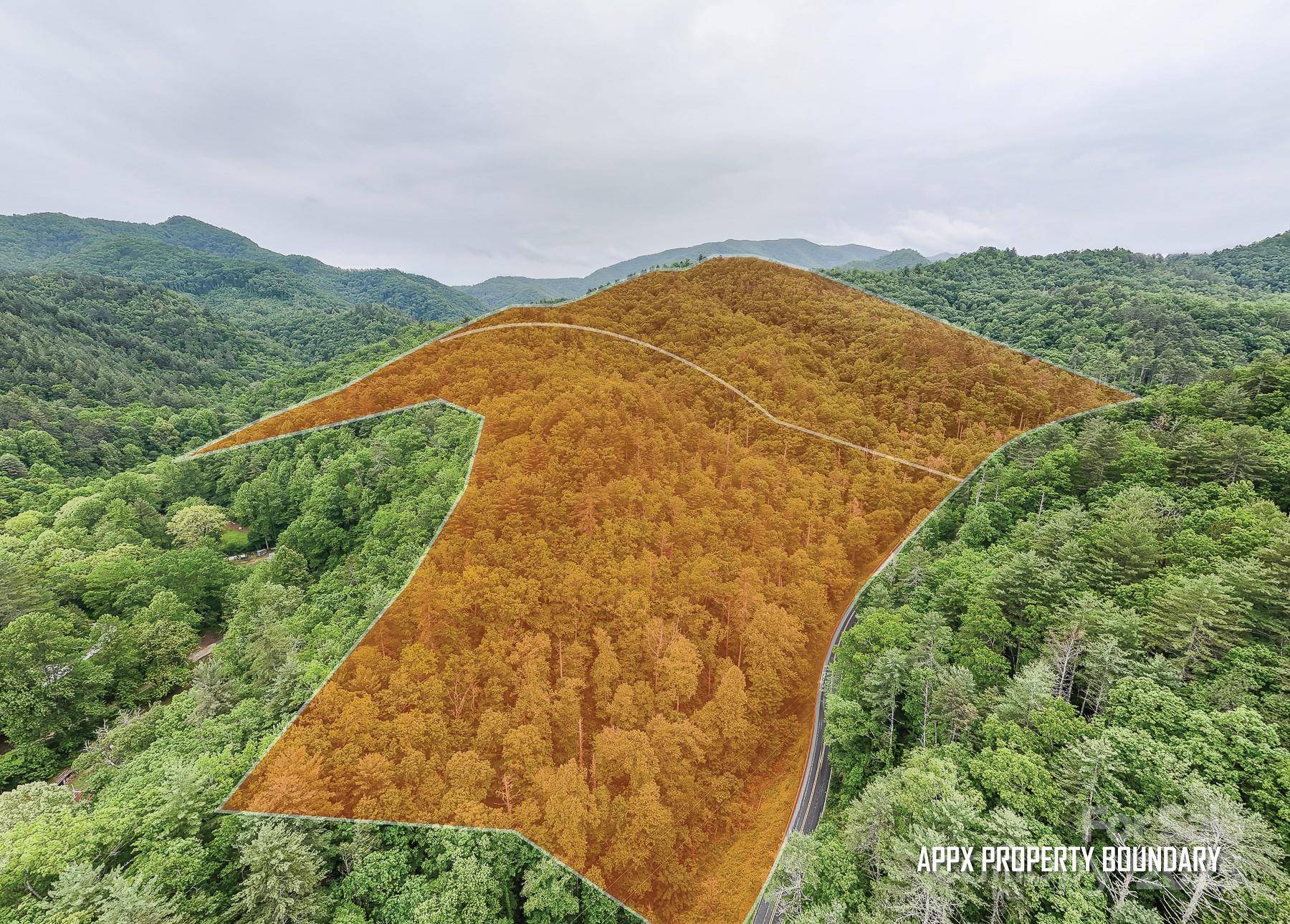 399 Shell Stand RD, Almond, NC 28702